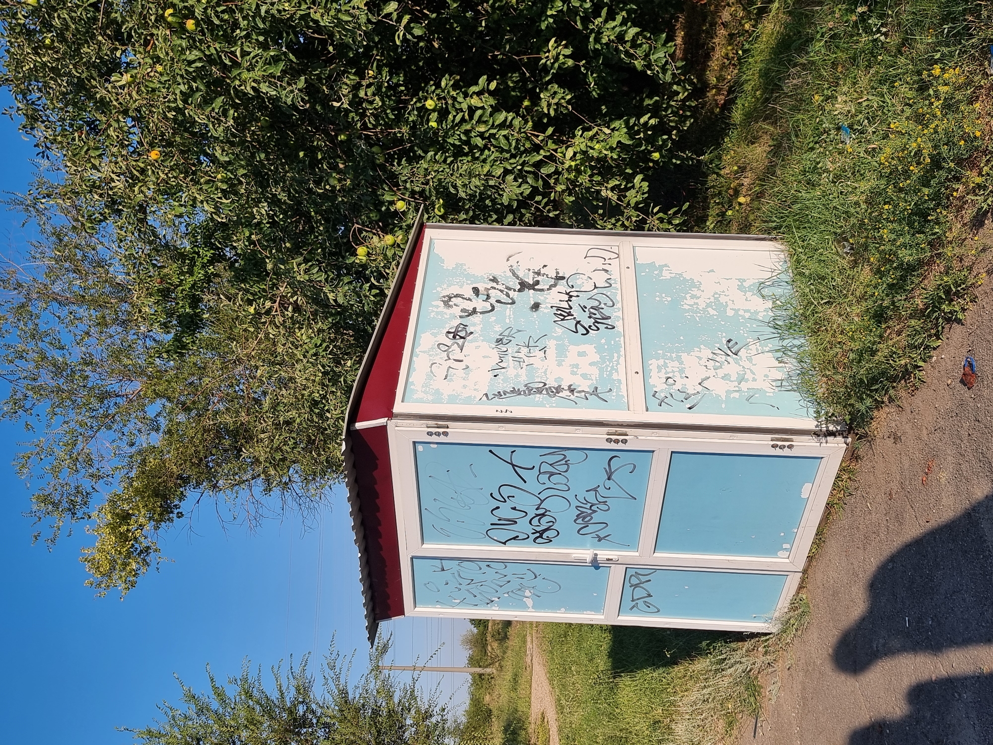 An outdoor, ground-level shot shows a small, free-standing structure covered in graffiti. The structure has a light-colored body with a dark red trim along the top and blue panels on the doors. The corrugated metal roof is weathered. The structure appears to be located on a patch of grass with a dirt path to its left. Behind and to the right of the structure, a large tree with green leaves and some visible apples grows. The sky is clear and blue. In the foreground, two shadowy figures are visible on the dirt path, their forms cast by an unseen light source. The general environment suggests a rural or semi-urban setting.