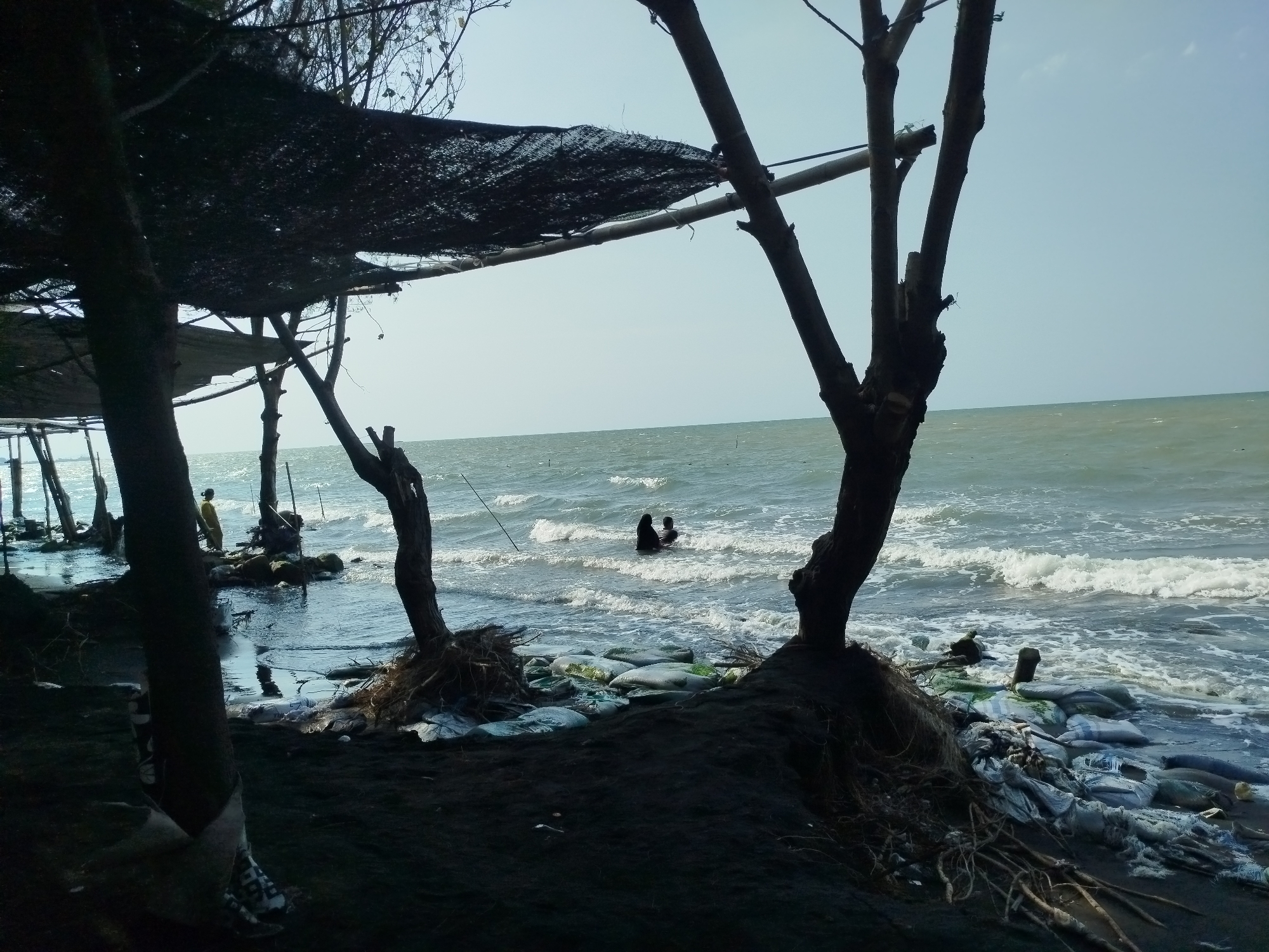 This image depicts a coastal scene in Mororejo, Indonesia. In the foreground, dark sand covers the ground, with exposed tree roots and several sandbags stacked along the shoreline. A large, dark tree trunk stands prominently on the right, and another similar tree is visible on the left, partially obscuring a makeshift shelter constructed with bamboo poles and a dark mesh covering. The middle ground shows the ocean with moderate waves crashing onto the shore. Two individuals, silhouetted and wearing dark clothing, are partially submerged in the water. Further back on the left, a person in a yellow garment stands near the water's edge, with more trees and remnants of structures visible. The sky is clear and a pale blue, meeting the ocean horizon.