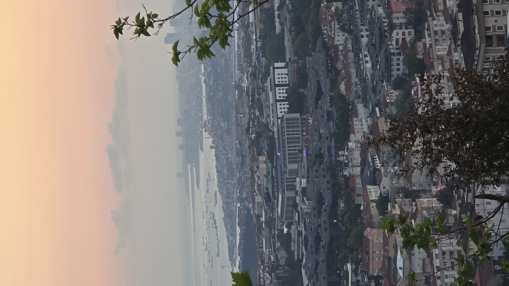 An outdoor, vertical, high-angle shot captures a hazy city skyline at dawn or dusk in Üsküdar, Turkey. The sky is a soft gradient of peach and pale yellow, with a few wispy clouds. In the foreground, lush green leaves and branches frame the scene on the left and right, with a darker, almost burgundy foliage in the lower center.
Below the sky, a wide expanse of the city stretches out. The Bosphorus Strait is visible in the distance, dotted with numerous cargo ships and ferries, appearing as small dark shapes on the water. The coastline is lined with buildings, and further inland, the dense urban landscape unfolds. Clusters of residential buildings with reddish-brown and gray tiled roofs dominate the mid-ground, interspersed with larger, modern buildings featuring white facades and grid-like window patterns. One prominent building in the mid-ground has a large sign displaying the word "TOM."
In the far distance, silhouetted against the hazy sky, are several mosques with tall minarets, characteristic of Istanbul's skyline. The overall impression is one of a sprawling metropolis bathed in the soft, diffused light of early morning or late evening, with the natural elements in the foreground providing a sense of depth and contrast to the urban environment.