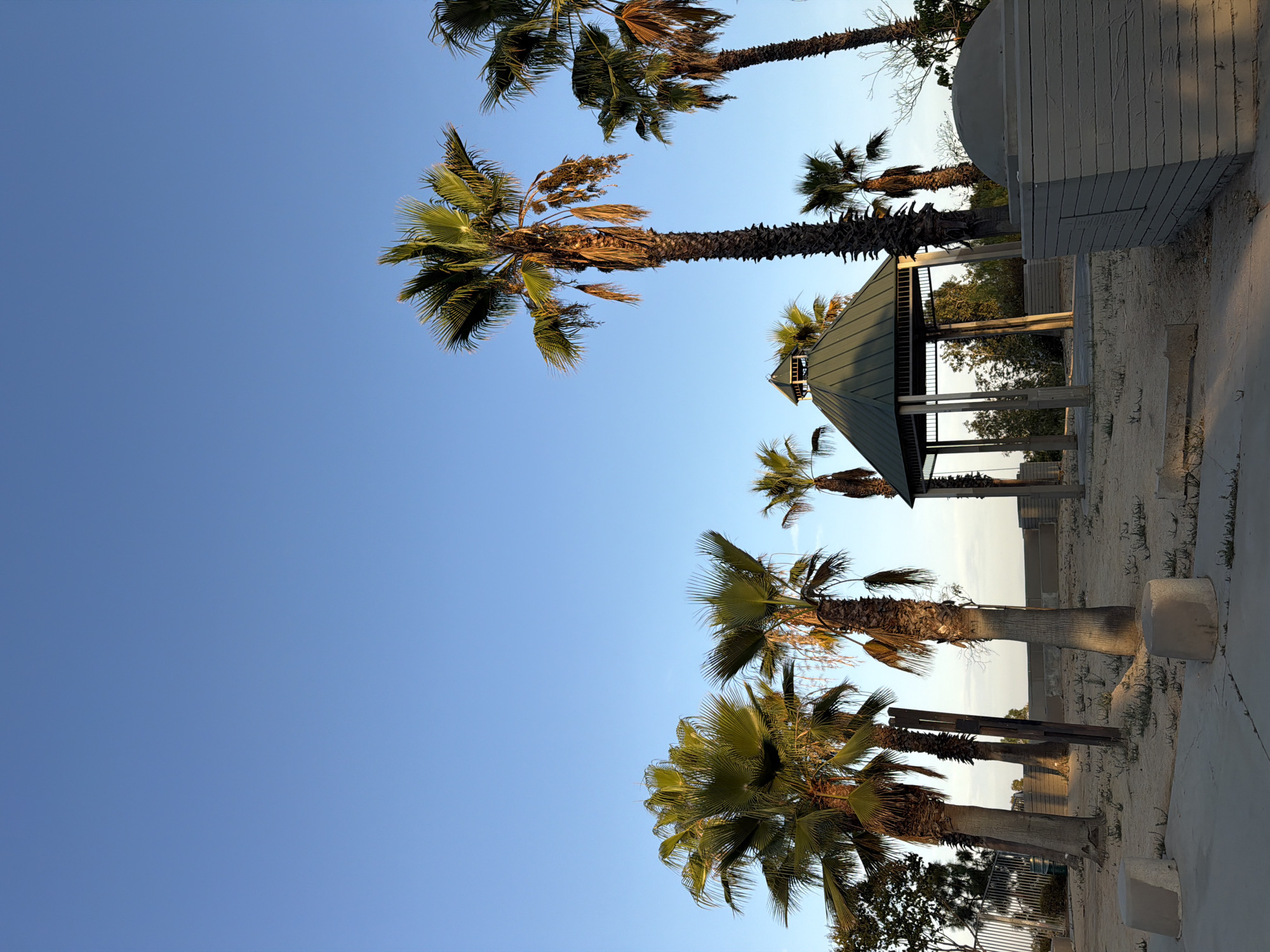 This image depicts an outdoor scene with palm trees, a gazebo, and a domed structure against a clear blue sky. The ground is covered in sand with sparse vegetation. The palm trees are tall and slender with green fronds. The gazebo has a dark green, octagonal roof supported by pillars. The domed structure to the right is made of stacked gray blocks. In the foreground, there are concrete planters. The lighting suggests it is late afternoon or early evening, with the sun casting soft shadows. The scene appears to be a park or recreational area. There are no people or animals visible.