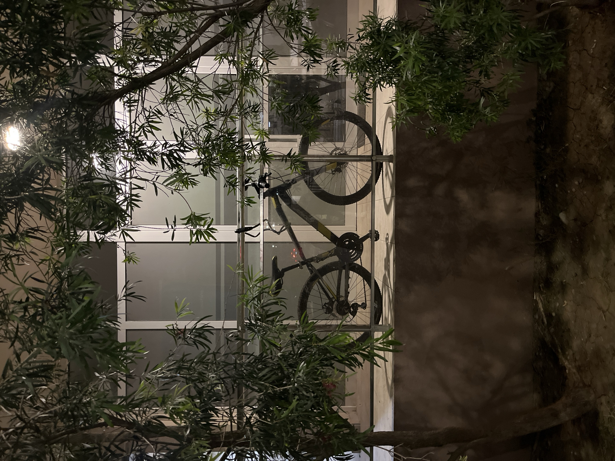 At night in Budva, Montenegro, a bicycle is mounted on a white wall. The wall is lined with windows that are either reflecting the darkness or are simply unlit. Branches with leaves frame the bicycle. The surrounding environment is dimly lit.