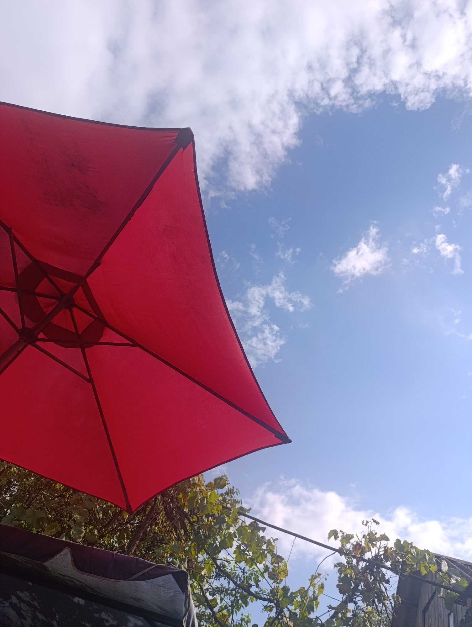 The image depicts an outdoor scene, likely in Zaliznyi, Russia, under a partly cloudy blue sky. A large, vibrant red umbrella is prominently featured in the foreground, angled to obscure a portion of the sky and a lush green canopy of leaves, possibly from a tree or vine. The underside of the umbrella reveals its structural ribs and central hub. Below the umbrella and leaves, there is a glimpse of a dark-colored fabric structure and a wooden fence or building. The overall impression is one of a shaded, possibly recreational area on a bright day.