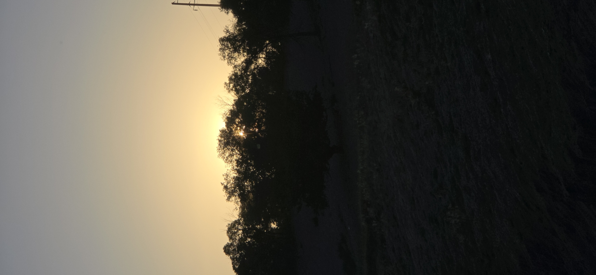 The image depicts a silhouetted line of trees against a warm, pale orange sky, suggesting either sunrise or sunset. The sun is partially obscured by the foliage, creating a starburst effect. A dark, uneven ground covers the foreground, with hints of dried grass or low vegetation. To the right, a solitary utility pole with wires is visible, also silhouetted against the sky. The overall scene is one of natural landscape, likely rural, with no visible urban elements or specific landmarks that would pinpoint a location within Issyk-Kul, Kyrgyzstan. The time of day is indicated by the lighting conditions.