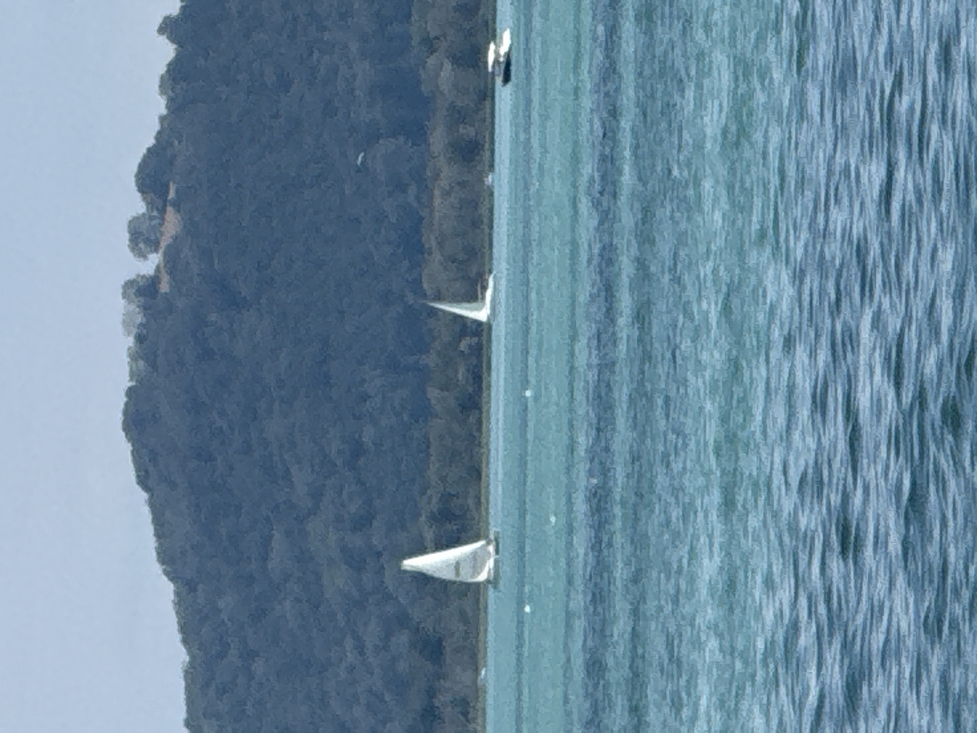 The image depicts a serene view of a body of water with sailboats and a motorboat. In the foreground, the water is a deep blue with visible ripples, suggesting a gentle breeze. Further out, the water transitions to a lighter turquoise hue.
In the middle ground, a single white sailboat with its sail fully extended is positioned to the left of the frame. To its right, another sailboat, partially visible, appears to be sailing away from the viewer. A small white motorboat with a canopy is seen further to the right.
In the background, a dense, dark green forested hill or mountain dominates the horizon. The sky above is a pale, hazy blue. The overall scene suggests a tranquil day on the water, likely in a location with natural beauty and open waterways.
While the image is visually suggestive of a place like Neuchâtel, Switzerland, due to the presence of a large lake and surrounding hills, there are no specific landmarks or identifying features within the image that can definitively confirm this location. The elements present – water, boats, and a forested hillside – are common to many lakeside or coastal environments.