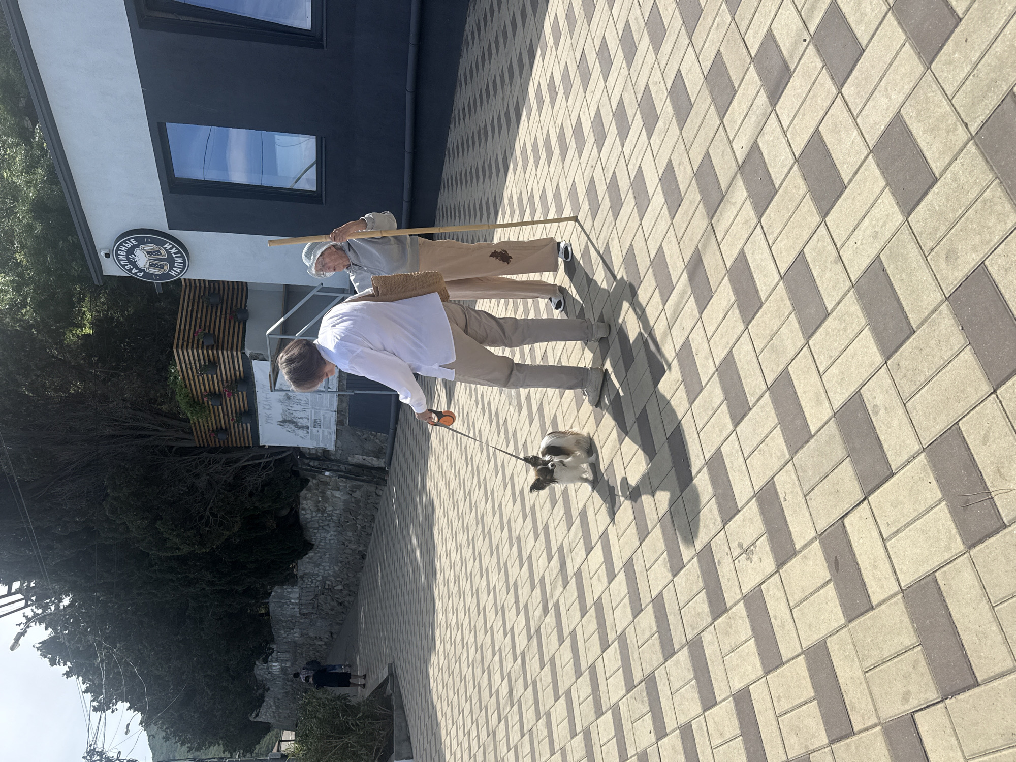 This outdoor image, taken from a slightly elevated perspective, shows two individuals and a small dog on a paved surface next to a modern building. The ground is covered in light and dark grey/beige interlocking pavers laid in a herringbone pattern, with long, distinct shadows suggesting bright sunlight in the late morning or afternoon.
In the foreground, one person, dressed in a white long-sleeved shirt and light khaki pants, is walking a small, fluffy dog with white and brown/black fur on an orange leash. The dog is looking downwards. This individual also carries a rectangular woven bag over their shoulder. Slightly behind them, another person, wearing a grey long-sleeved top, light khaki pants, and a light-colored sun hat, stands holding a long, thin wooden or bamboo stick, possibly a walking stick. A dark stain is visible on the right thigh of their pants. Both people are wearing light-colored sneakers.
To the left, a contemporary building features a striking black and white facade with large rectangular windows that reflect the sky. A round black sign on the building, with white text, reads "РАЗЛИВНЫЕ НАПИТКИ" (Draft Drinks) and displays two beer mugs, indicating a beverage establishment. Another, partially visible sign further along the building also appears to have Russian text, starting with "УРК КА...".
The background features dense green trees and a stone wall, with utility poles and lines visible in the distance against a clear, bright sky. The scene depicts a casual moment outdoors on a sunny day.