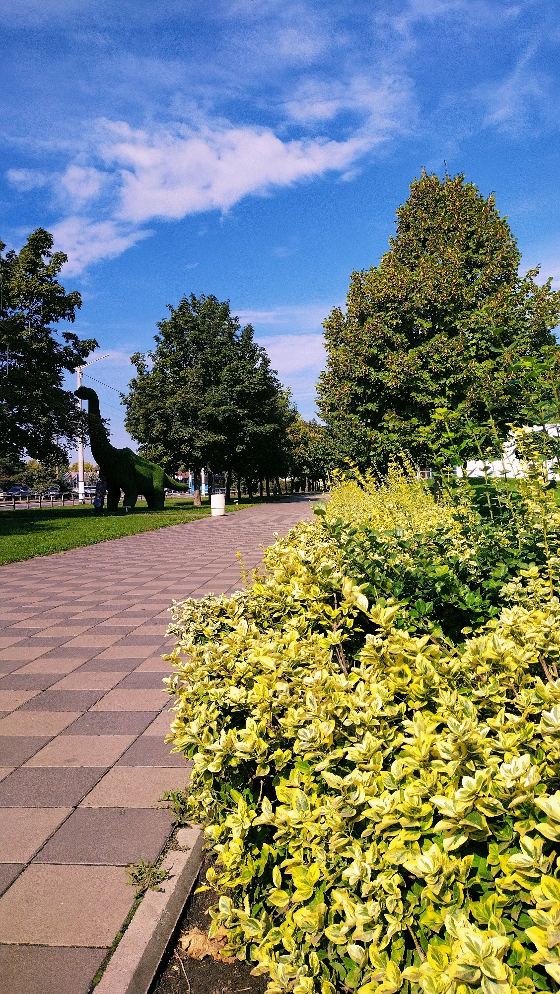 This image captures a sunny day in Horishni Plavni, Ukraine, with a clear blue sky dotted with fluffy white clouds. A paved walkway, laid with square grey and brown tiles, stretches into the distance, bordered on the right by a vibrant hedge of variegated yellow and green bushes. On the left side of the walkway, a lush green lawn leads to a prominent topiary dinosaur sculpture, seemingly made of dense greenery, standing tall and majestic. Beyond the lawn, trees with full, green canopies line the path, suggesting a well-maintained park or public space. In the background, a few cars are visible on a road, indicating the presence of urban infrastructure. The overall scene is one of outdoor recreation and natural beauty within a city setting.