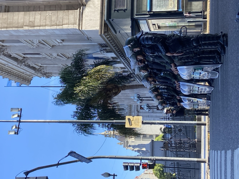 The scene is located on Avenida Entre Ríos, directly in front of the Argentine National Congress building in Buenos Aires, Argentina. Nine individuals in riot gear are positioned in a linear formation on the paved street. Each individual wears a dark uniform, a helmet with a raised clear visor, and protective body armor. Seven individuals on the right hold clear plastic riot shields with white edges. The main subject building, identified as the National Congress, is a multi-story neoclassical structure with fluted columns, ornate cornices, and an Argentine flag flying from its roofline on the right. A large palm tree stands between the building and a prominent metal light pole. This pole features four overhead floodlights and a yellow square sign indicating "Espacio monitoreado por cámaras de seguridad" (Space monitored by security cameras). To the left, a vertical traffic light pole displays a red pedestrian signal. A painted white pedestrian crosswalk extends across the foreground asphalt. In the middle distance, a building with a light-colored dome is visible. The sky is clear and blue, illuminated by direct sunlight.