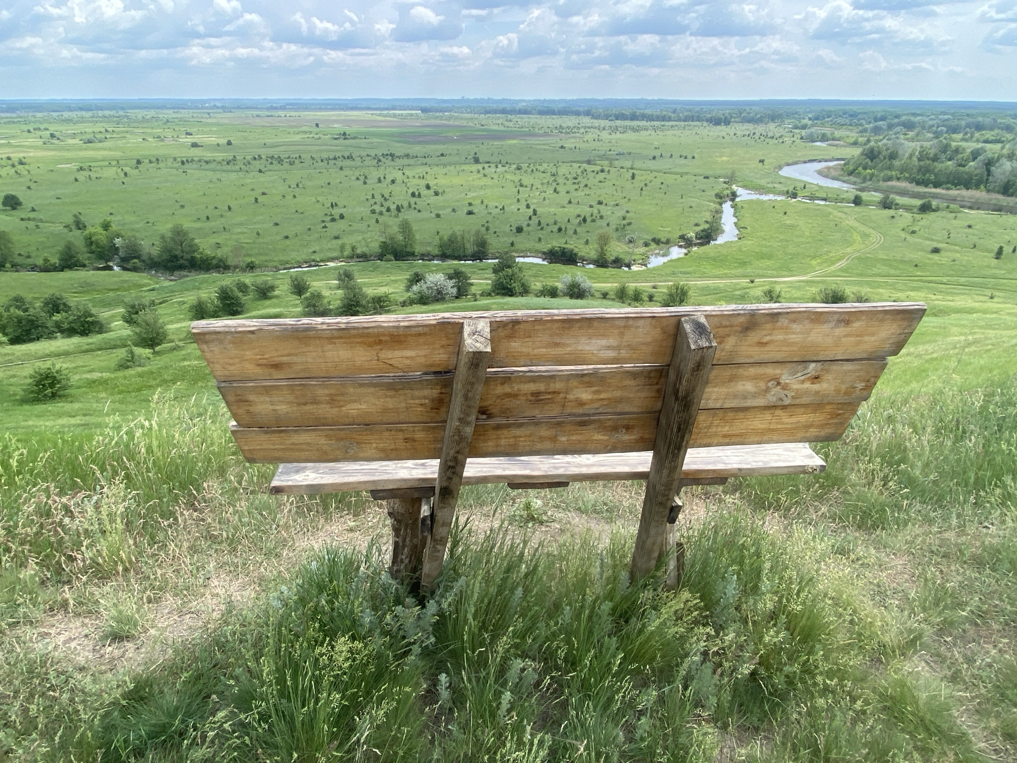 A wide, green landscape stretches to the horizon under a cloudy sky. A wooden bench stands in the foreground, overgrown with tall grass. A river meanders through the landscape, and scattered trees and bushes dot the scene. The location may be near Ustyvytsia, Ukraine, but this cannot be definitively confirmed from the image.