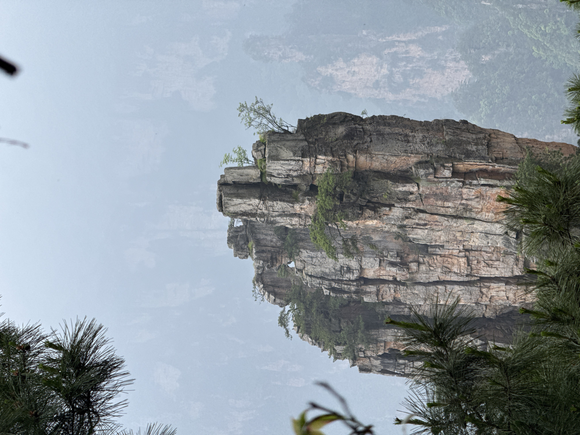 The image features a towering, striated rock formation characteristic of the Wulingyuan scenic area in China. The rock is predominantly gray-brown and exhibits distinct layering and weathering patterns. Small trees and vegetation cling to its ledges and crevices. In the foreground, coniferous branches frame the view, suggesting the perspective of someone looking up at the rock from a forested area. The sky is overcast, giving the scene a soft, diffused lighting. The background is blurred and shrouded in mist, giving the impression of a vast, mountainous landscape.