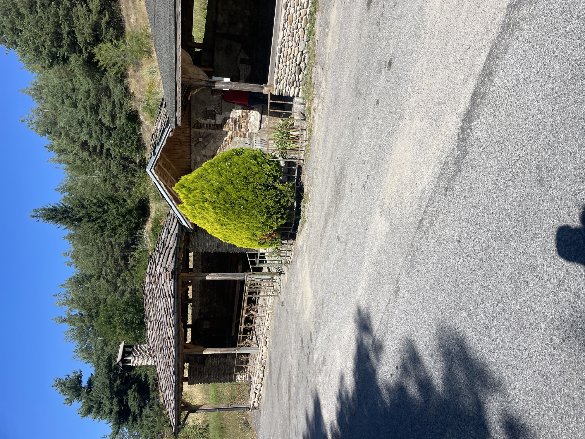 The image shows an outdoor covered area with a stone foundation and a rustic wooden roof. A tall, conical evergreen tree is positioned to the left of the entrance. In the background, a densely wooded hillside rises under a clear blue sky. A person in a red shirt is standing just inside the covered structure on the right. The ground in front of the structure is paved with asphalt, and shadows of trees are cast across it. This scene is located at a rest stop or picnic area in the mountains near Trave, Bulgaria.