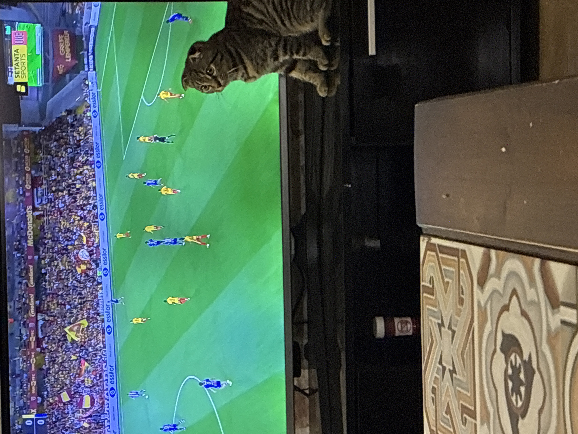 In the foreground of the image, a tabby cat with folded ears is perched on a black surface, intently watching a television screen. The television displays a soccer match with players in yellow and blue uniforms on a green field. The stadium seating is visible in the background, filled with spectators. A scoreboard at the top right of the screen reads "SETANTA SPORTS LIVE". The overall scene suggests a casual home environment where someone is enjoying a sporting event, possibly in Tbilisi, Georgia, given the presence of Setanta Sports, a broadcaster often associated with the region. The lower portion of the image shows a part of a table with a patterned surface and a small red bottle with a white cap.