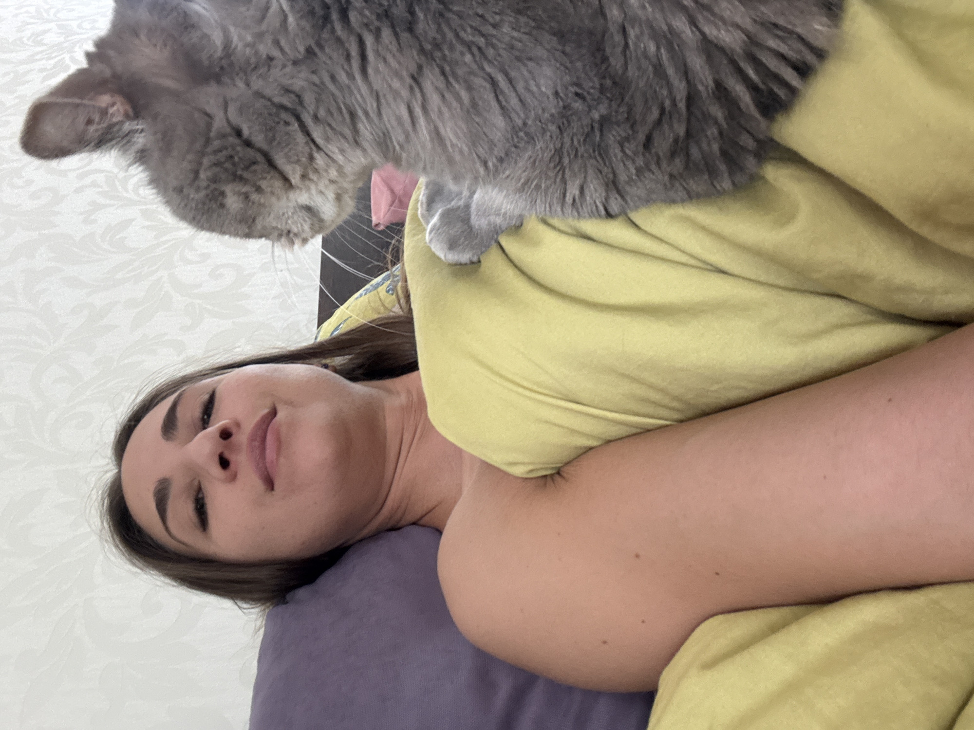 In a dimly lit bedroom, a woman with brown hair lies in bed, propped up on a purple pillow and covered by a light yellow duvet. Her left arm is visible, resting on the bedding. To her right, a grey cat is partially visible, its head turned away from the camera, looking towards the woman. The cat's paw is resting on the duvet. The background consists of a patterned wallpaper. The overall scene appears to be a candid moment, likely captured from a selfie.