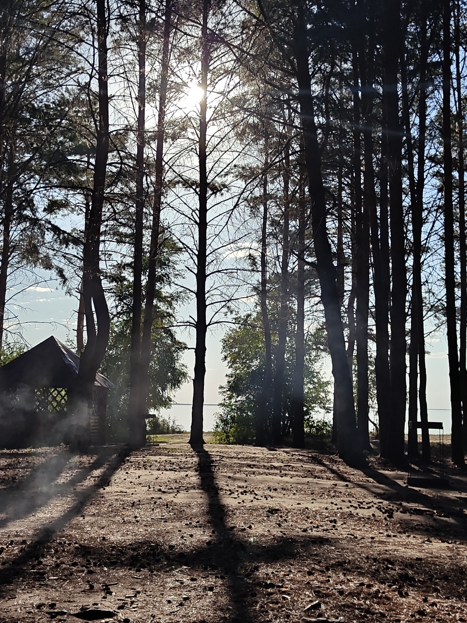 The image depicts a natural outdoor scene characterized by a dense stand of tall, slender trees, predominantly pine, with a body of water visible in the distance. The ground is covered in dry pine needles and cones, suggesting a forested or park-like environment. Sunlight streams through the canopy, creating dappled light and distinct shadows on the ground.
In the left mid-ground, a small, dark-roofed gazebo or shed with lattice-work sides is partially obscured by trees and a visible plume of light grey smoke emanating from its vicinity. The smoke suggests an activity such as a campfire or outdoor cooking.
The sky is partly cloudy with a bright sun shining through the trees, creating lens flare effects in the image. The overall impression is one of a serene, possibly recreational, outdoor setting. The location is identified as Корнеев ауылдық округі, Kazakhstan.