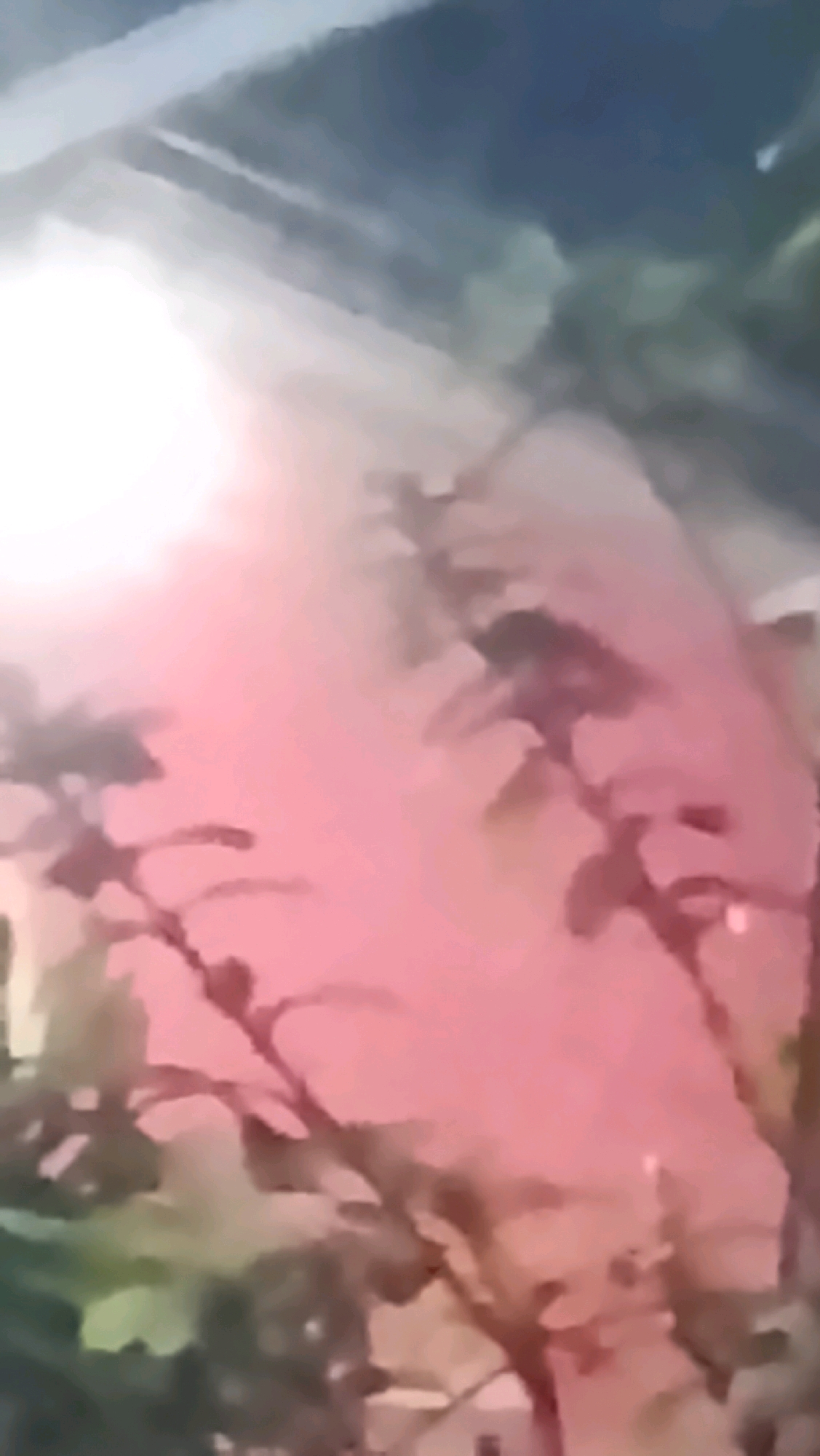 This is a low-resolution, blurry image showing a pinkish-red wall or surface, partially illuminated by a bright light source on the left. Silhouetted branches or foliage are visible in the foreground, extending across the scene. The background is dark and indistinct, with suggestions of a structure or sky. The scene appears to be outdoors, possibly a street or courtyard, with some vegetation. The context of Ujungrusi, Indonesia, is not visually discernible from the image itself.