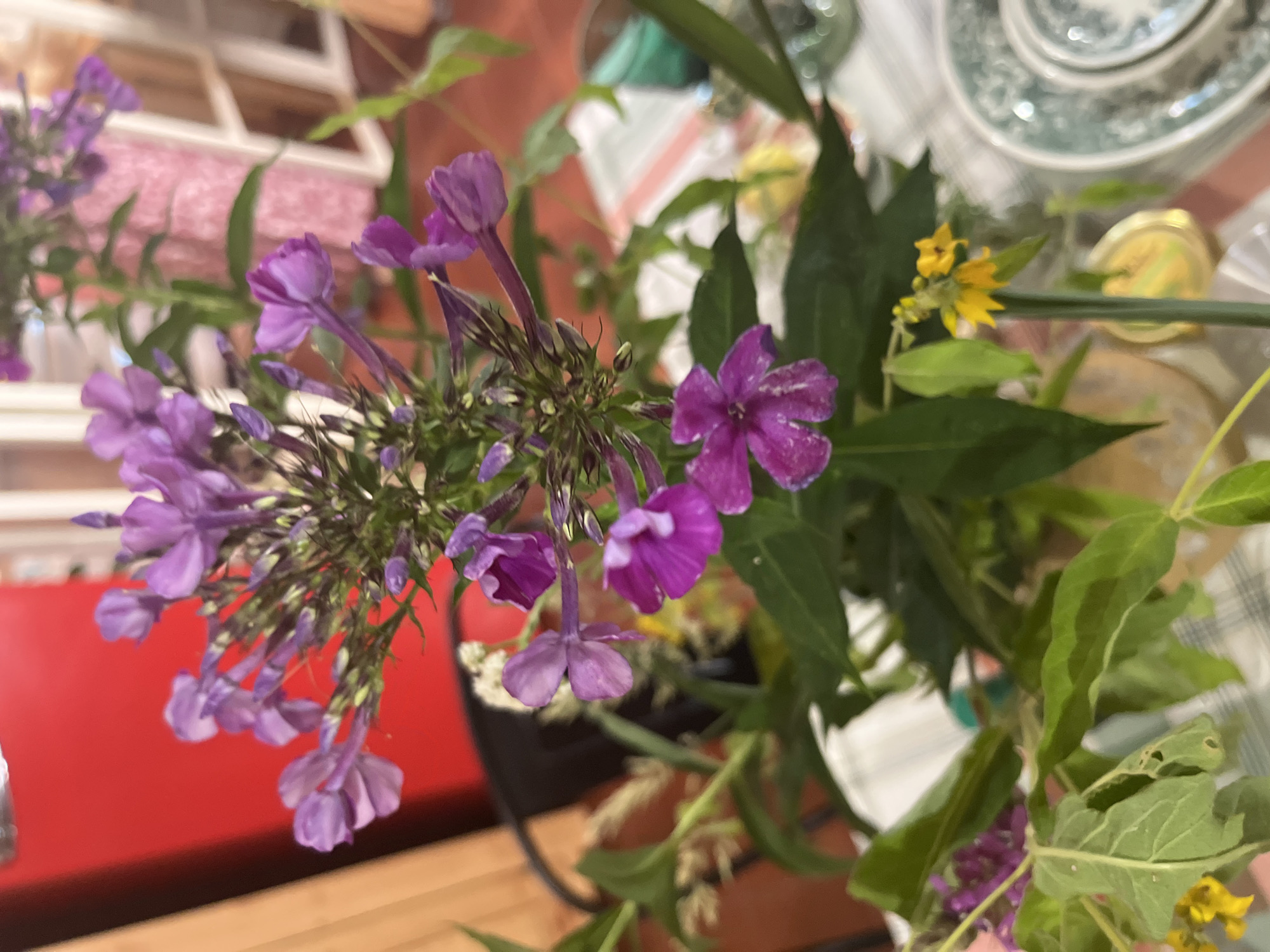 The image shows a close-up view of a bouquet of purple flowers in a vase, likely placed on a table. The background is blurred, but suggests an indoor setting with hints of furniture and possibly other decorative items. The flowers are the primary focus, with detailed rendering of their petals and stems. There are no people or specific landmarks visible in the image. The location of Brest, Belarus, cannot be determined from the visual information provided.