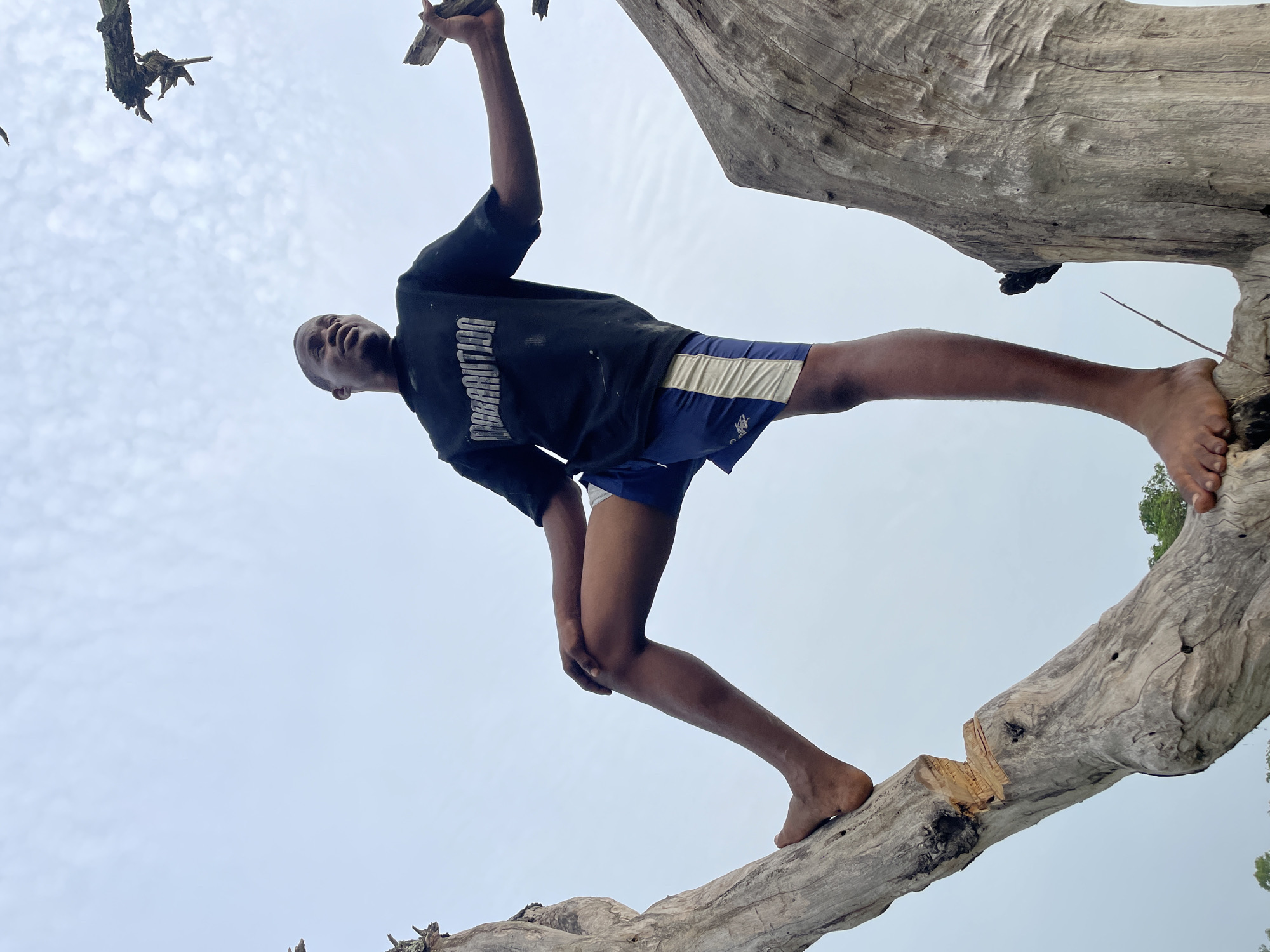 A young man is climbing on a large, fallen tree branch in Agba Umana, Nigeria. He wears a black t-shirt with white text, blue shorts with a white stripe, and is barefoot. The background is a light-colored sky. The image is taken from a low angle, looking up at the man.