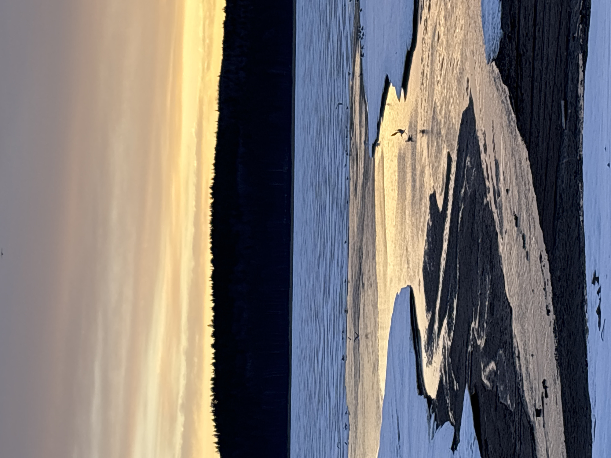 The image shows a body of water, likely a river or lake, at sunset. The left side of the frame depicts the sky transitioning from a pale yellow near the horizon to a darker gray higher up. Along the horizon is a dark band of trees, possibly a forest. The water surface reflects the colors of the sky and sunlight. The right side of the image shows a fragmented reflection in the water. There are several birds flying. No people are visible. The location is inferred as being near Chaikovsky, Russia, based on the prompt, although there is no identifying location information in the photograph itself.