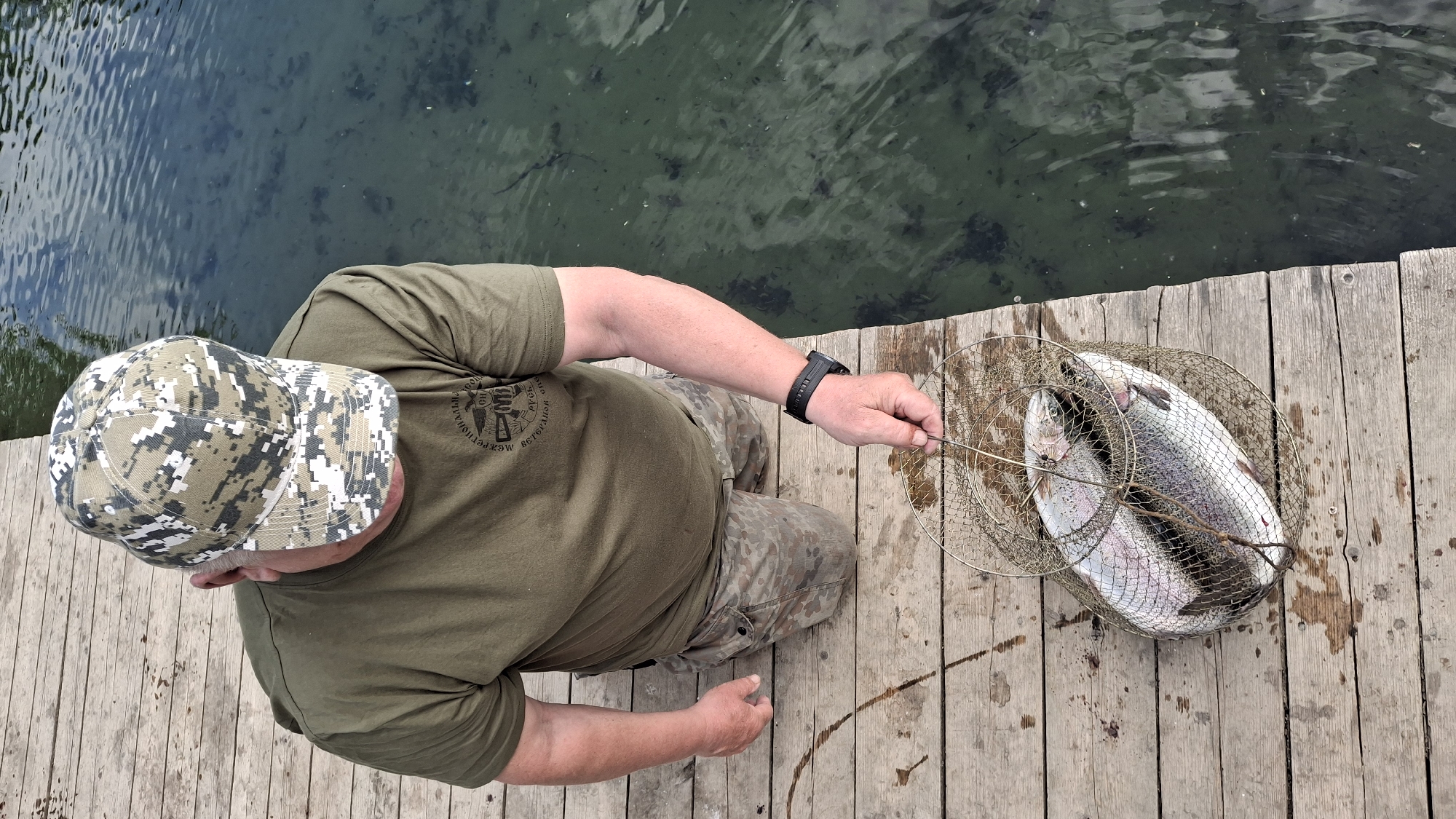 An overhead photograph captures a person on a weathered wooden pier in Kipen, Russia, alongside a body of water. The individual, seen from a top-down perspective, wears a short-sleeved olive-green t-shirt, camouflage-patterned trousers, and a digital camouflage baseball cap. A black digital watch is visible on their left wrist.
The person is actively engaged in fishing, holding a circular metal wire fishing basket, often called a creel or stringer. Inside the basket are two large, freshly caught fish, which appear to be rainbow trout, distinguished by their iridescent scales and prominent size. The wooden planks of the pier are damp in places and show signs of use, extending over clear, dark green water. Ripples are visible on the water's surface, and submerged dark areas, possibly aquatic plants or rocks, can be seen beneath, indicating a relatively clear and perhaps shallow water body.
Visible text on the green t-shirt, in Cyrillic, spells out "МЕЖДУНАРОДНАЯ АССОЦИАЦИЯ ВЕТЕРАНОВ" (International Association of Veterans), accompanied by an emblem or insignia. The image conveys a calm, daytime atmosphere, likely under overcast skies or indirect sunlight, as there are no harsh shadows. The overall scene depicts a successful fishing outing in a tranquil outdoor setting.