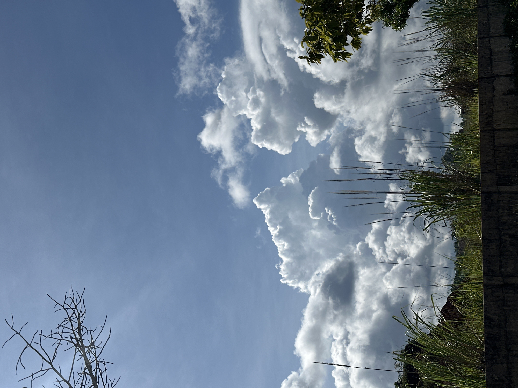 The image is an outdoor, low-angle, full-frame shot of a cloudy sky with a foreground of vegetation and a wall. The sky is predominantly blue with large, dramatic white and gray clouds, some of which appear to be cumulonimbus. In the upper left corner, a bare, dark tree branch extends into the sky. Along the bottom of the frame, tall, green grass and reeds are visible, swaying slightly. A dark, rough-textured wall runs horizontally across the bottom of the image. In the distance, hints of green foliage and structures are barely visible through the grass and under the clouds. The lighting suggests it is daytime, with sunlight illuminating the clouds from above and to the right. The overall impression is of a natural landscape under a dynamic sky, potentially in or near Bờ Y, Vietnam, given the context. There are no people or animals visible in the image.