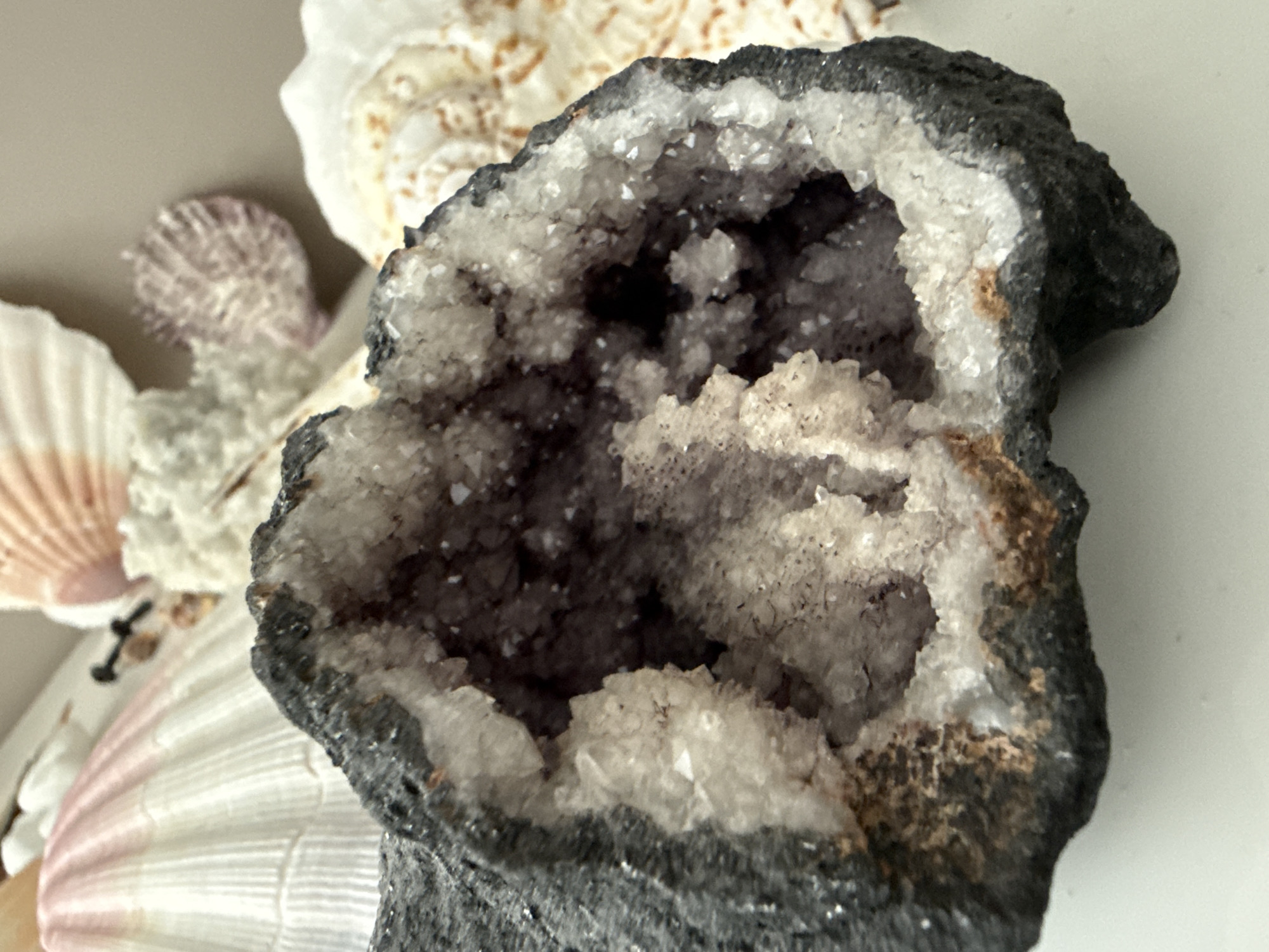 The image displays a close-up view of a geode, a geological rock formation that contains a hollow cavity lined with crystals. The geode has a dark, rough exterior and a cavity filled with numerous small, translucent, white crystals. In the background, several seashells are visible, with hints of pink, white, and orange hues. The lighting suggests an indoor setting, likely a shelf or tabletop display. There are no people or actions depicted in the image. The location in the city of Burgas, Bulgaria, is not discernible from the visual information provided.