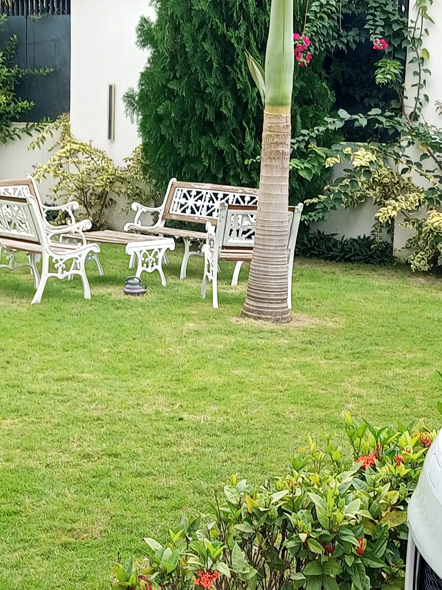 The image depicts an outdoor scene at a residence in Gwarinpa, Nigeria, featuring a neatly manicured lawn with several white wrought-iron benches and a matching table arranged on the grass. A tall palm tree with a textured trunk stands prominently in the center of the frame, behind the furniture. Lush green foliage, including a dense evergreen shrub and a flowering plant with pink blossoms, frames the background. The scene appears tranquil and well-maintained, suggesting a private garden or patio area.