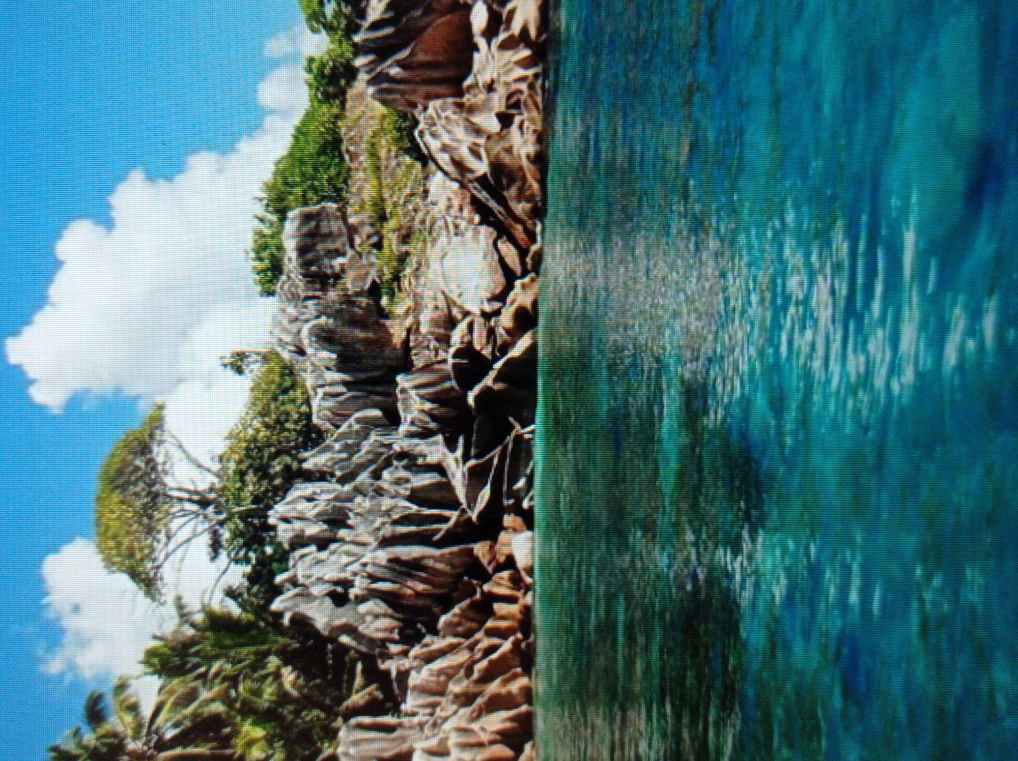 The image shows a coastal scene with a rocky shoreline and clear turquoise water. Palm trees and lush green vegetation grow on top of the rocks, and a large, umbrella-shaped tree is visible in the background. The sky is blue with fluffy white clouds. There are no people or man-made objects visible in the image. The scene is natural and serene. The city of Mukachevo, Ukraine is not depicted in this image.