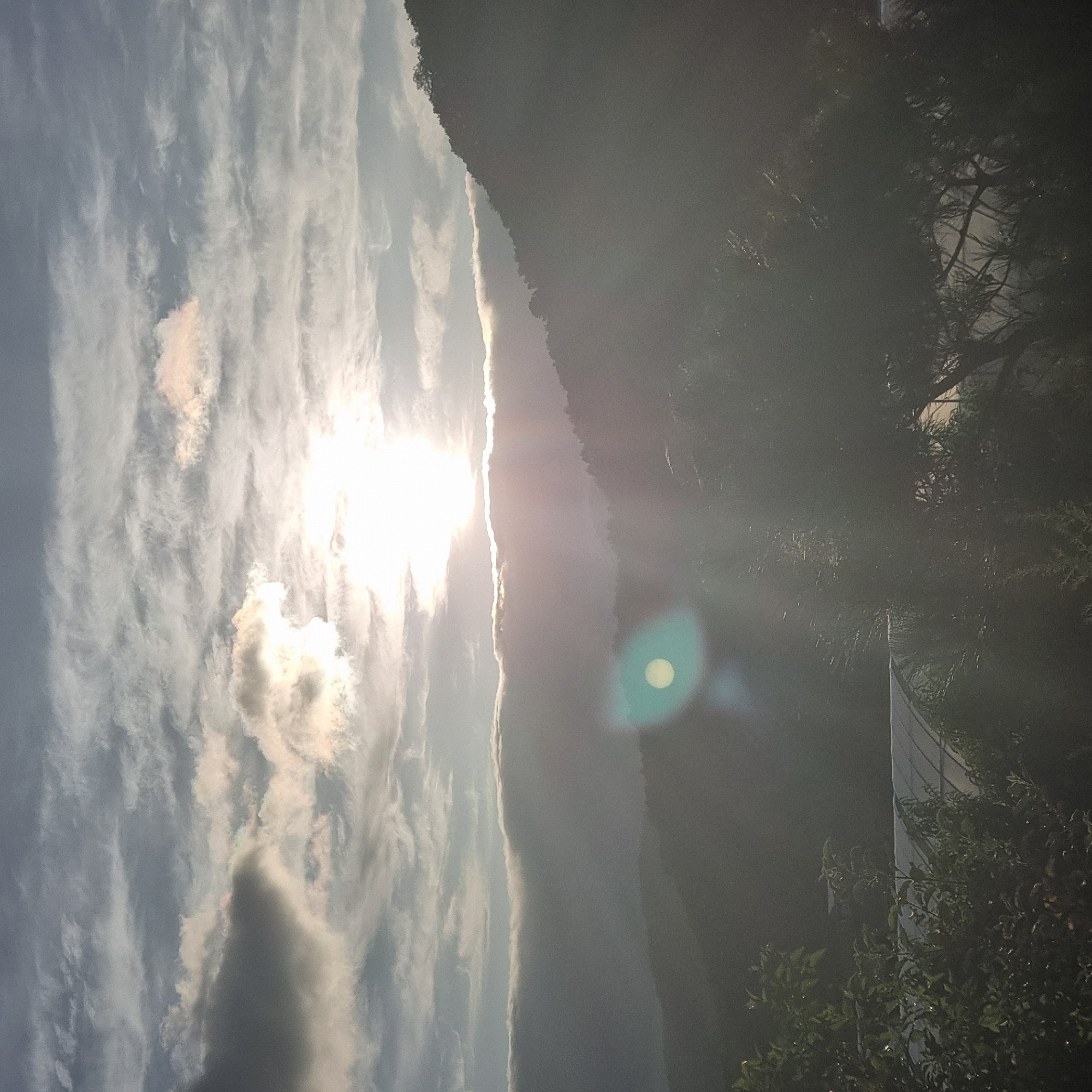 The image depicts a landscape at what appears to be dawn or dusk. The sun is low on the horizon, partially obscured by clouds, casting a bright glow and lens flares across the scene. In the foreground, there is dense foliage and trees, with some branches visible against the sky. Behind the trees, a curved structure, possibly a greenhouse or a tunnel, is partially visible. The mid-ground features rolling hills or mountains that are silhouetted against the sky and are covered in trees. A band of low-lying clouds or fog stretches horizontally across the landscape, obscuring the bases of the hills. The sky is filled with a mix of wispy and thicker clouds, with lighter areas where the sun is shining through. The overall impression is of a natural, rural setting. The location is identified as Dunnae-myeon, South Korea.