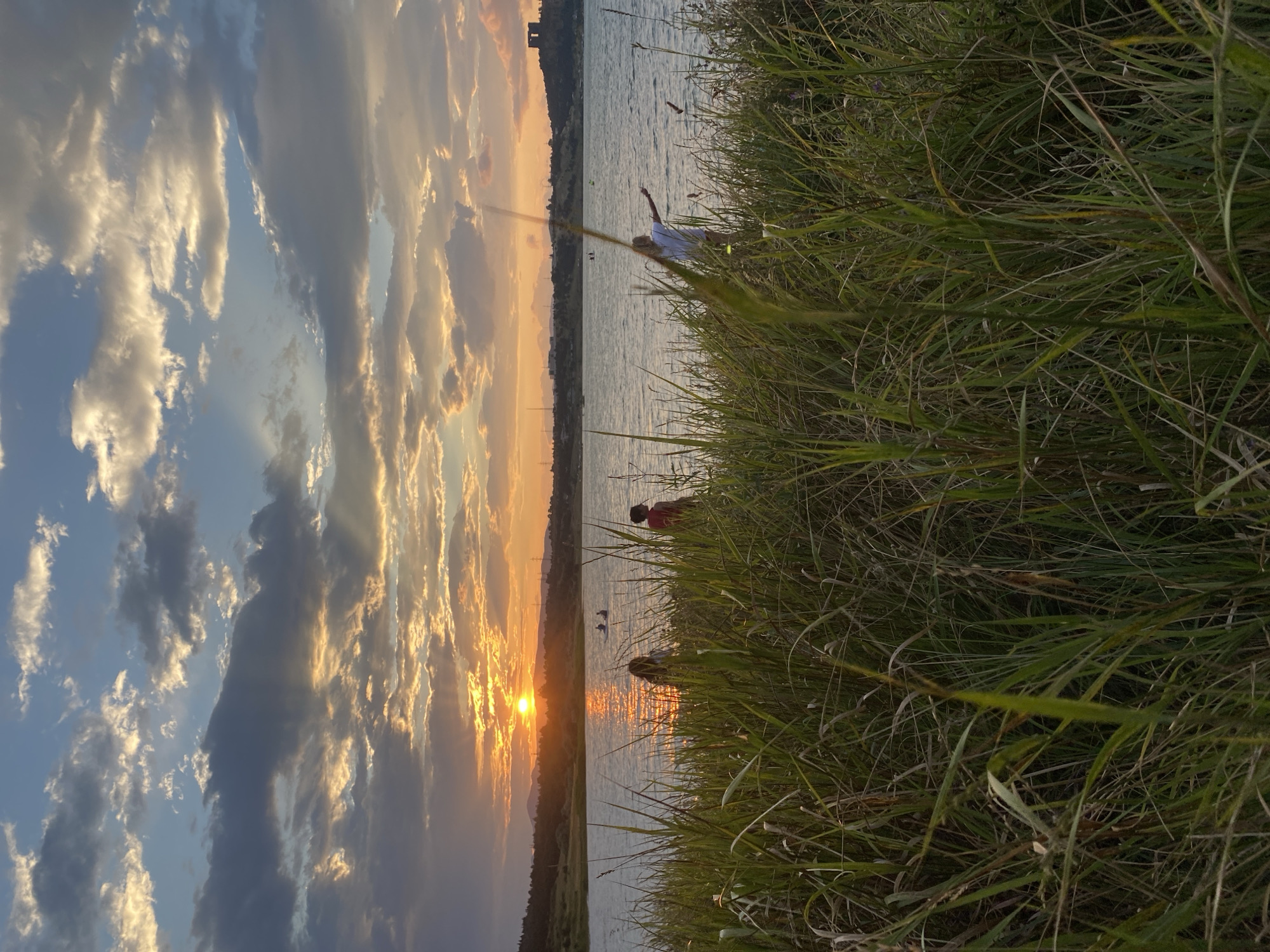 The image depicts a sunset scene over a body of water, likely a lake or reservoir, bordered by tall grass in the foreground. Several people are visible near the water's edge and in the water itself, with some appearing to be wading or swimming. The sky is filled with dramatic clouds, illuminated by the setting sun, which casts a warm glow across the scene and reflects on the water's surface. In the distance, across the water, a hilly landscape is visible with some structures, including what appears to be a building or monument on a hilltop. The overall atmosphere is serene and natural, with a hint of urban presence in the distant skyline. The location is not identifiable as Tbilisi, Georgia from the visual information provided in the image.