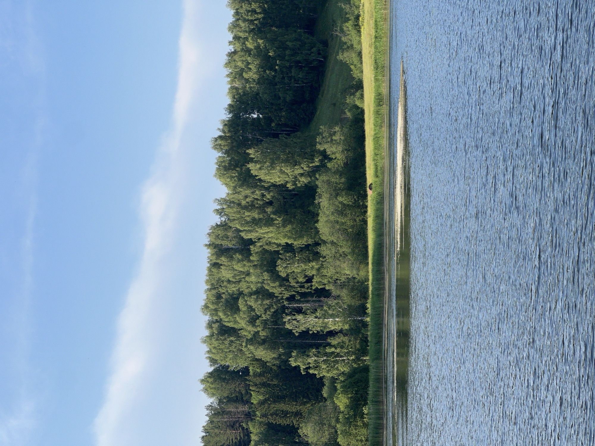 The image depicts a serene natural landscape featuring a calm lake in the foreground. The water is a deep blue, with gentle ripples creating a textured surface. In the middle ground, a narrow strip of tall green grass runs along the edge of the lake, bordering a slightly elevated grassy field. This field is dotted with a few scattered bushes and small trees, and in the distance, a dense forest covers a hillside. The forest is a mix of deciduous and coniferous trees, showcasing various shades of green. The sky above is a clear, light blue with a few wispy white clouds. On the far right of the grassy field, a small, dark, reddish-brown object, possibly a barrel or a large rock, is visible. This scene is likely a natural area near Al'nyash, Russia.