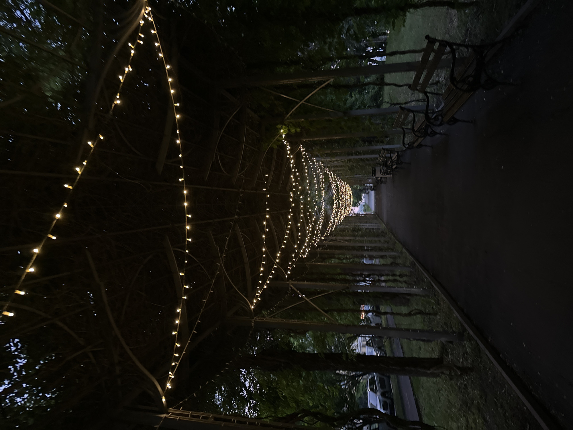 An outdoor scene captured at night or dusk in Burgas, Bulgaria, depicts a long, tunnel-like pathway illuminated by numerous string lights. The path is flanked by a robust pergola or arbor structure, densely covered with dark green foliage and vines. Warm white fairy lights are strung along the underside of this structure, forming a canopy that narrows into the distance and creates a magical, enchanting tunnel effect.
To the right of the paved walkway, several dark park benches with ornate metal frames are visible, spaced out along the path. Beyond the benches, there are glimpses of natural elements like grass and trees, with the overall setting suggesting a park or garden. In the far distance, at the end of the illuminated tunnel, faint outlines of what appear to be parked cars and possibly buildings can be seen, indicating proximity to a street or residential area.
The sky is dark, emphasizing the glow of the string lights as the primary source of illumination. There are no people visible in the image, contributing to a sense of peaceful solitude. No visible text is present. The atmosphere is serene and inviting, suggesting a pleasant place for an evening stroll.