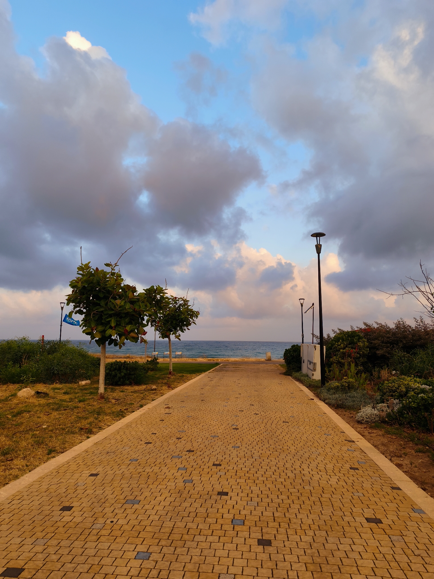 A paved pathway, constructed with yellow and blue interlocking rectangular bricks, leads towards the sea. The pathway is lined with short, leafy trees with white trunks on the left and various green bushes and flowering plants on the right. Two modern streetlights with dark poles and circular lamps stand on the right side of the path, near white electrical boxes. The sea is visible in the distance, with gentle waves. The sky above is filled with a mix of light blue and scattered grey and pink clouds, suggesting either sunrise or sunset. A blue flag with white lettering is mounted on a pole near the trees on the left. The scene is located in Nahariyya, Israel, likely on a promenade or waterfront area.