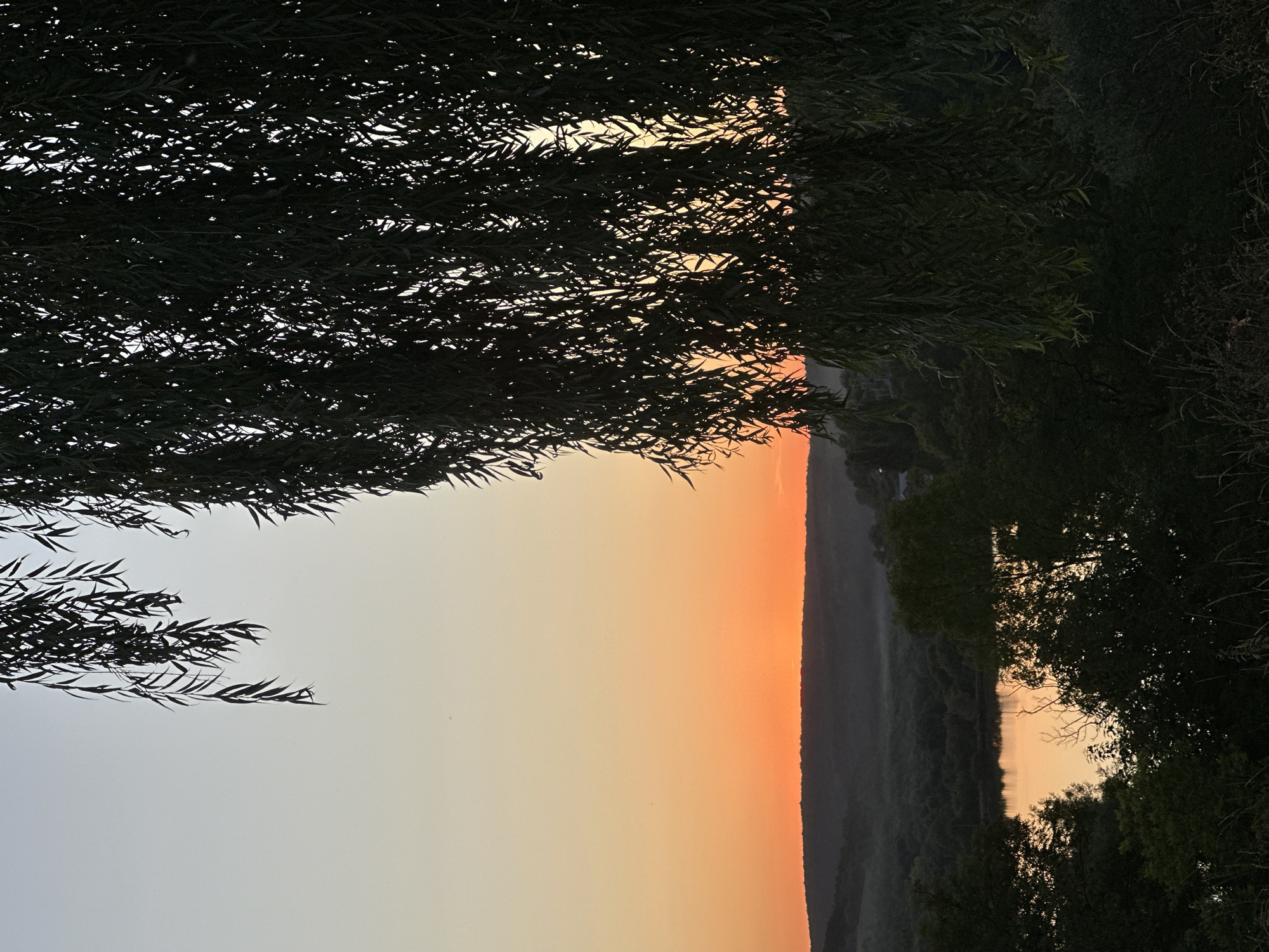 This is a vertical, medium shot, eye-level, outdoor, full color photograph taken at sunset. The scene depicts a tranquil natural landscape, likely near the city of Makiv, Ukraine, characterized by rolling hills, a body of water, and dense foliage. In the foreground, weeping willow branches, silhouetted against the twilight sky, hang from the top edge of the frame, obscuring a portion of the background. The sky exhibits a gradient of colors, transitioning from a pale blue at the top to a vibrant orange and red near the horizon, indicating the setting sun. The sun itself is not directly visible, but its warm glow illuminates the sky and reflects on the surface of the water. The middle ground features a serene lake or river reflecting the sunset colors, bordered by lush, dark green trees that form a dense forest stretching across the landscape. In the distance, hills are covered in a soft, dark shadow, adding depth to the scene. The overall atmosphere is peaceful and serene. There are no people or animals visible in the image.