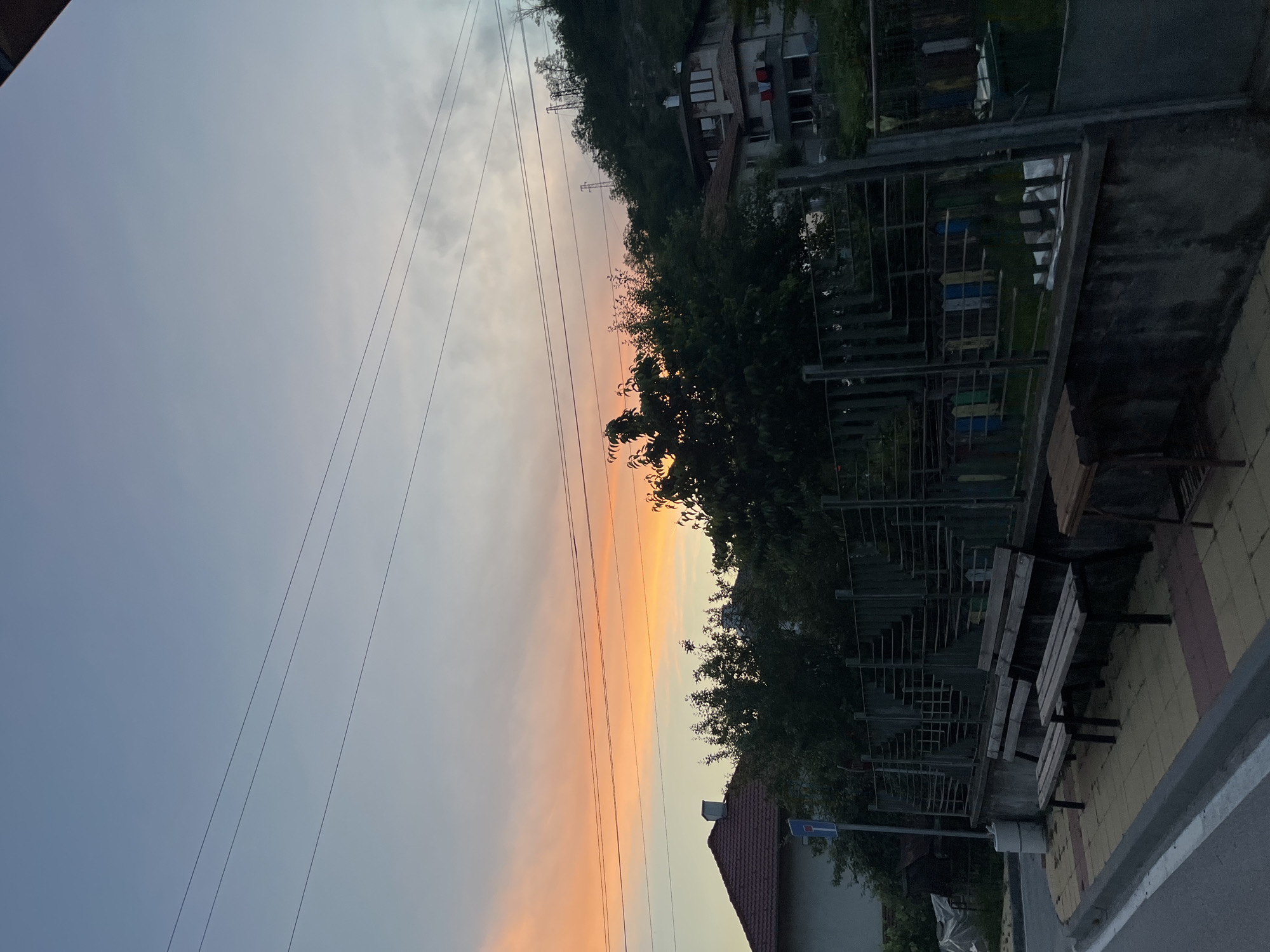This image captures a street scene in Zlatograd, Bulgaria, during twilight hours, indicated by a sky transitioning from pale blue-grey at the top to vibrant orange and pink hues above the horizon. Multiple power lines horizontally traverse the upper half of the sky.
In the midground, a dense line of green trees partially obscures the view of the sky. To the right, a steep, densely forested hill ascends, featuring several electricity pylons visible amidst the trees.
On the left side of the midground, a house with a reddish-brown tiled roof and light-colored walls is partially visible. A blue rectangular sign, possibly a traffic sign, is mounted on a pole near this structure. On the right side of the midground, situated on the hillside, is a multi-story house with a similar tiled roof and a light-colored facade, featuring laundry hanging on a balcony railing.
The foreground on the left presents a paved sidewalk constructed from alternating yellow and reddish-brown rectangular pavers. Two wooden park benches with dark metal frames are positioned on this sidewalk. A dark grey curb separates the sidewalk from an asphalt road, which displays a distinct white line painted along its edge. A small, light-colored cylindrical object is present near the curb.
In the foreground on the right, a low concrete wall is topped by a dark metal fence featuring diamond-shaped decorative patterns. A small wooden table or shelf with dark metal legs is situated next to this fence. Behind the fence, a grassy area and colorful vertical wooden planks are partially visible. No individuals or animals are present in the depicted scene.