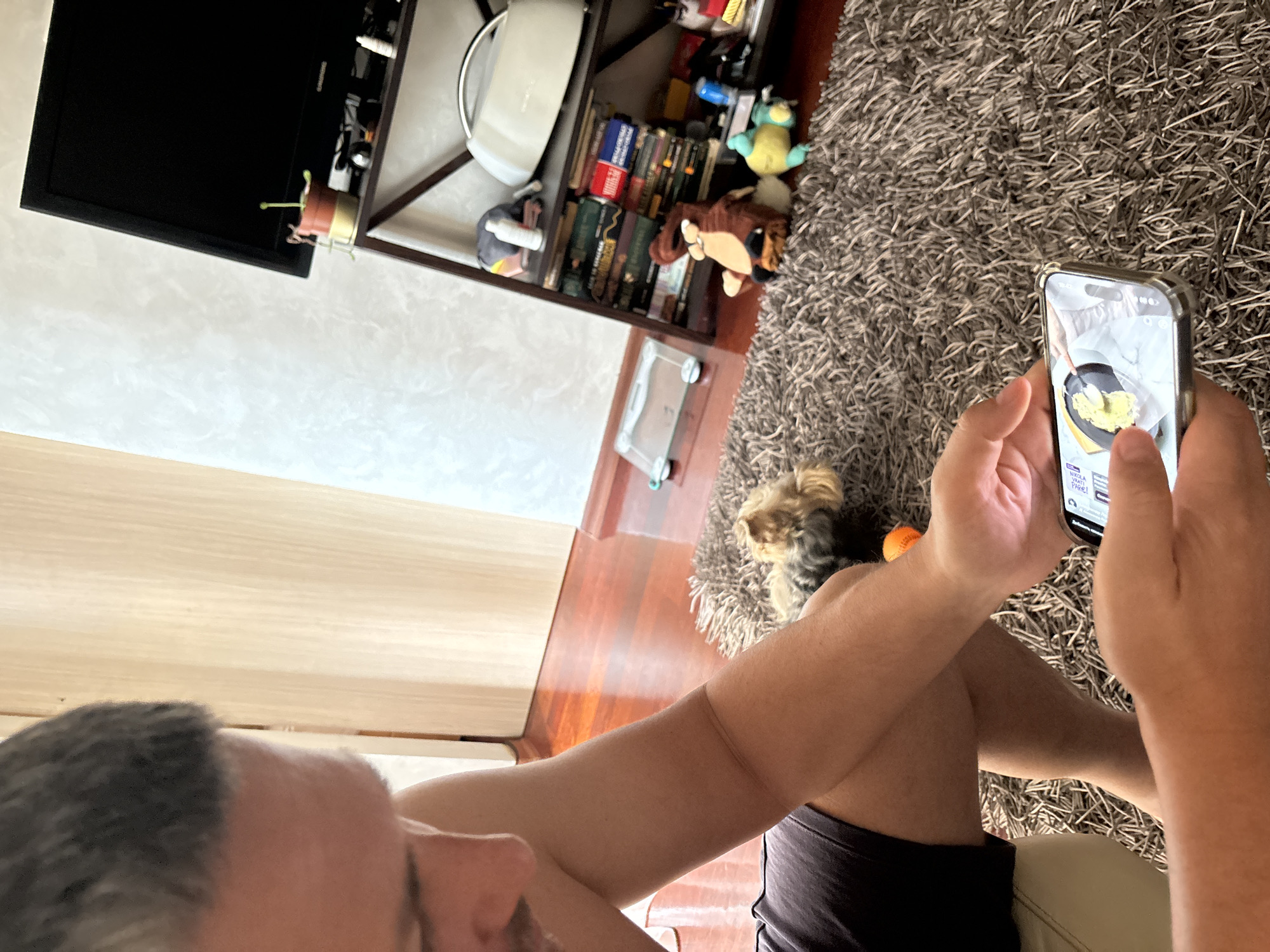A man, partially visible, is seated, viewing a smartphone. The screen displays a video of a person cooking. A small dog lies on a gray shag rug beside the man. In the background, there is a wooden shelf with books and various objects. A television is mounted to the wall. The setting is indoors. The image doesn't provide enough information to pinpoint a specific location in Budva, Montenegro.