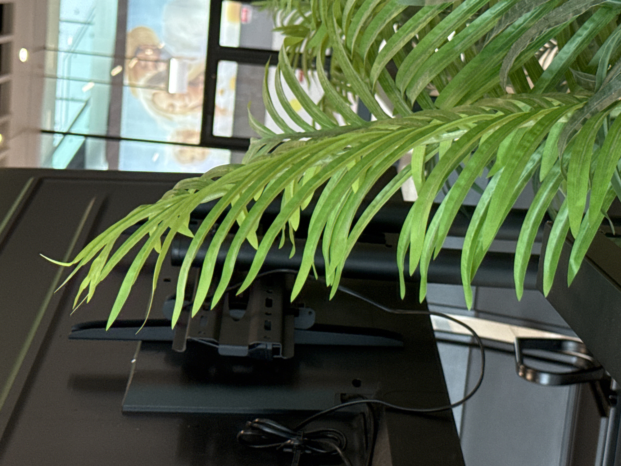 A close-up, eye-level shot captures a vibrant green artificial palm plant in the foreground, with its long, slender leaves fanning out diagonally across the frame. Behind the plant, a large black television screen is mounted on a stand. A black power cord is coiled and secured to the back of the television with a twist tie. To the right of the television, a sleek, modern chair with a black frame and seat is partially visible. In the background, a large window overlooks an urban environment, where a digital advertisement featuring two people wearing hats can be seen on the glass. The overall lighting is bright and diffuse, suggesting an indoor setting. The location in the city of Ob, Russia, is not ascertainable from the visual information provided.