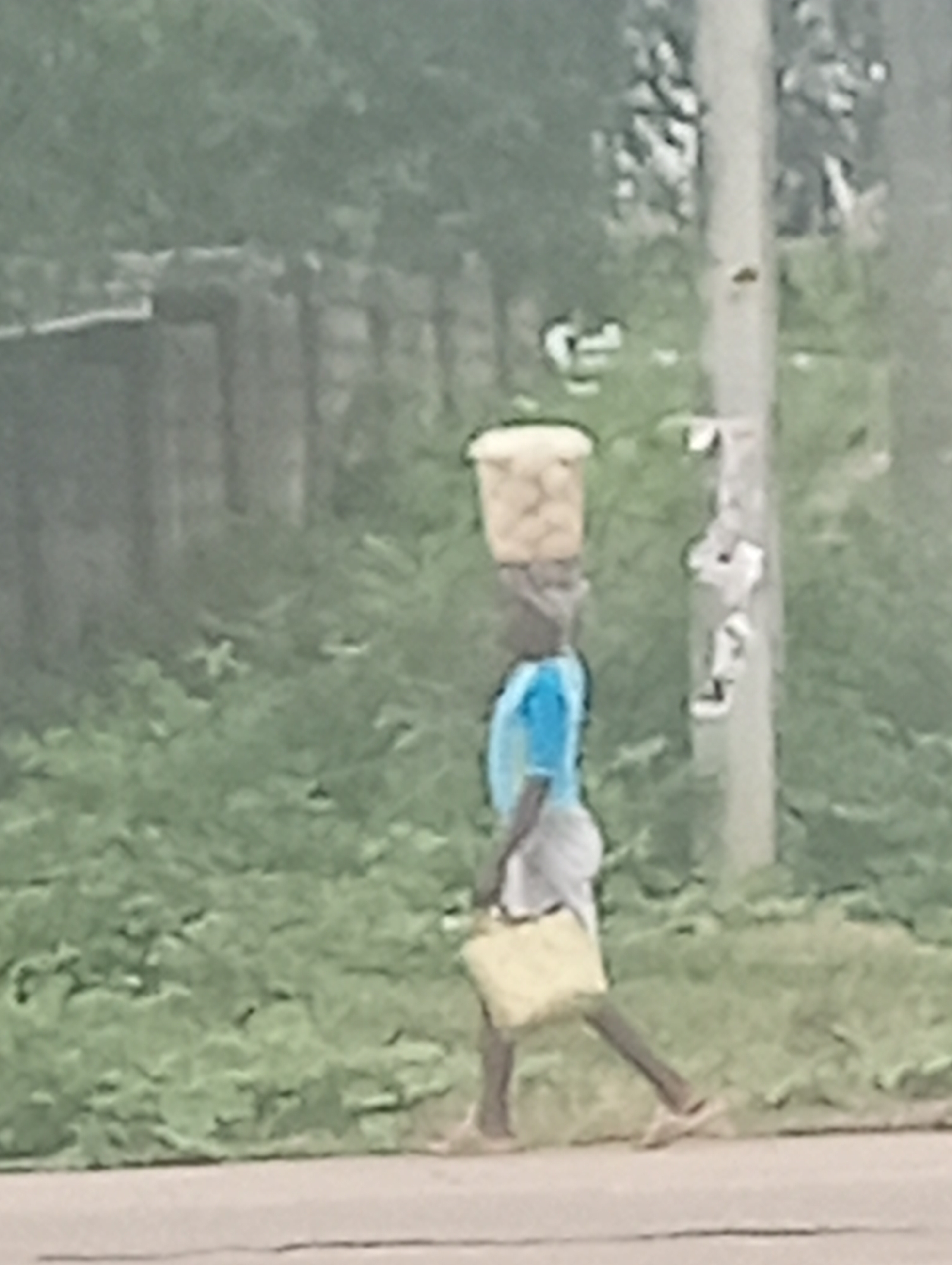 A full-shot, blurry, outdoor, daytime image shows a person walking along a road with a basket of items on their head. The person is wearing a blue short-sleeved shirt and a grey skirt. They are carrying a yellow bag in their right hand. The person is walking from left to right across the frame. The background consists of green vegetation and a light-colored pole on the right side of the image. A wall or fence is visible in the background on the left.