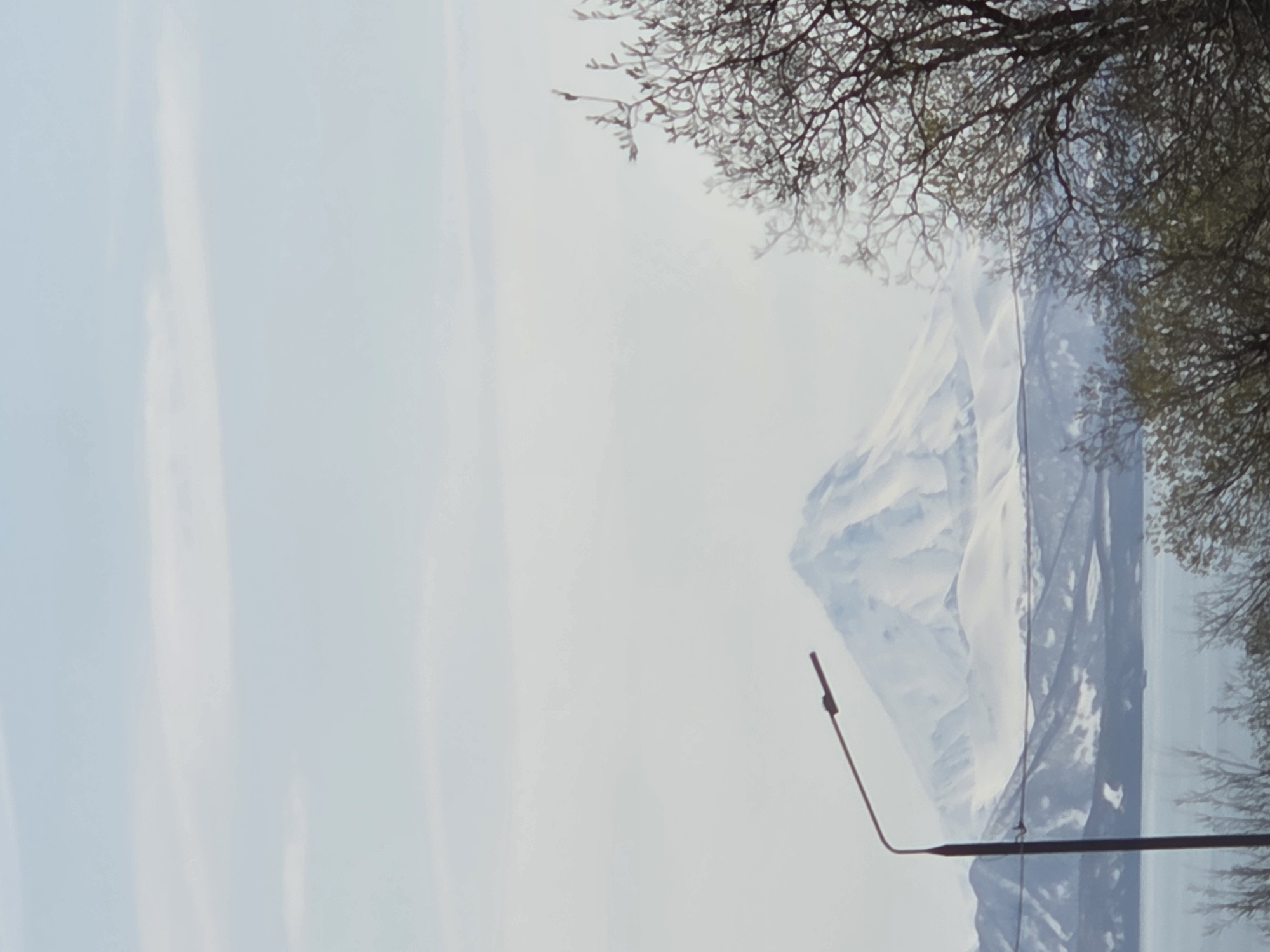 The image shows a landscape with a snow-covered mountain in the background. A bare tree is visible at the top and right of the frame. A street lamp is present in the lower center of the image. The sky appears overcast. The location is Unknown, Unknown.