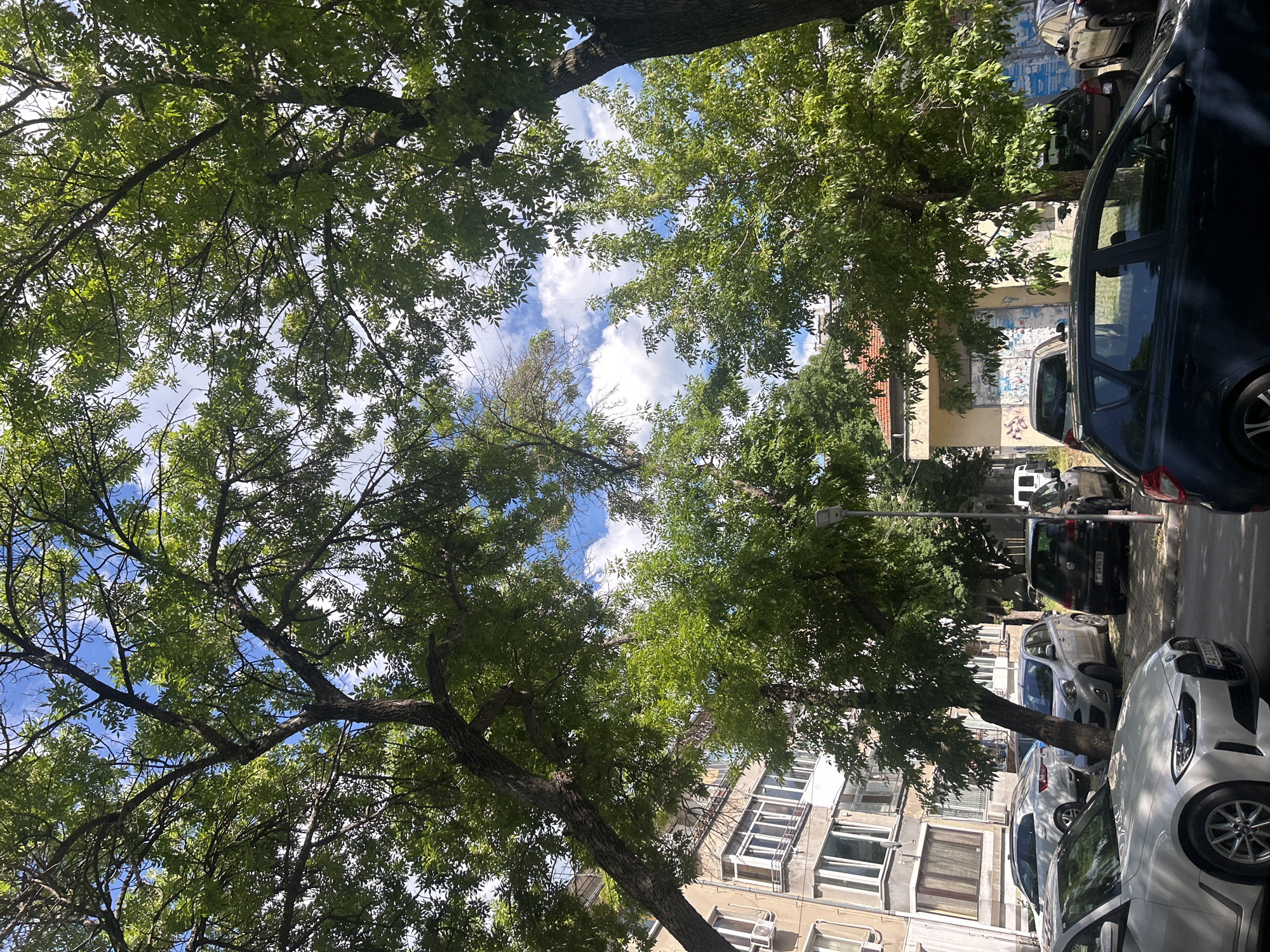 The image depicts a street scene in Varna, Bulgaria, on a sunny day. The perspective is looking upwards through the branches of mature trees, revealing a blue sky with scattered white clouds. In the background, to the left, is a multi-story building with numerous windows and balconies, characteristic of Soviet-era architecture. Adjacent to it, and further to the right, is a smaller building with a reddish-tiled roof and a facade covered in graffiti and posters.
Parked along the street are several vehicles. In the foreground, a white BMW sedan is partially visible on the left. To its right, a dark-colored hatchback is parked. Behind these, a silver hatchback and a dark hatchback are visible. Further down the street, a white van is parked. The street itself is paved, and there is a sidewalk bordering the parked cars. The environment suggests a residential or urban area within Varna.