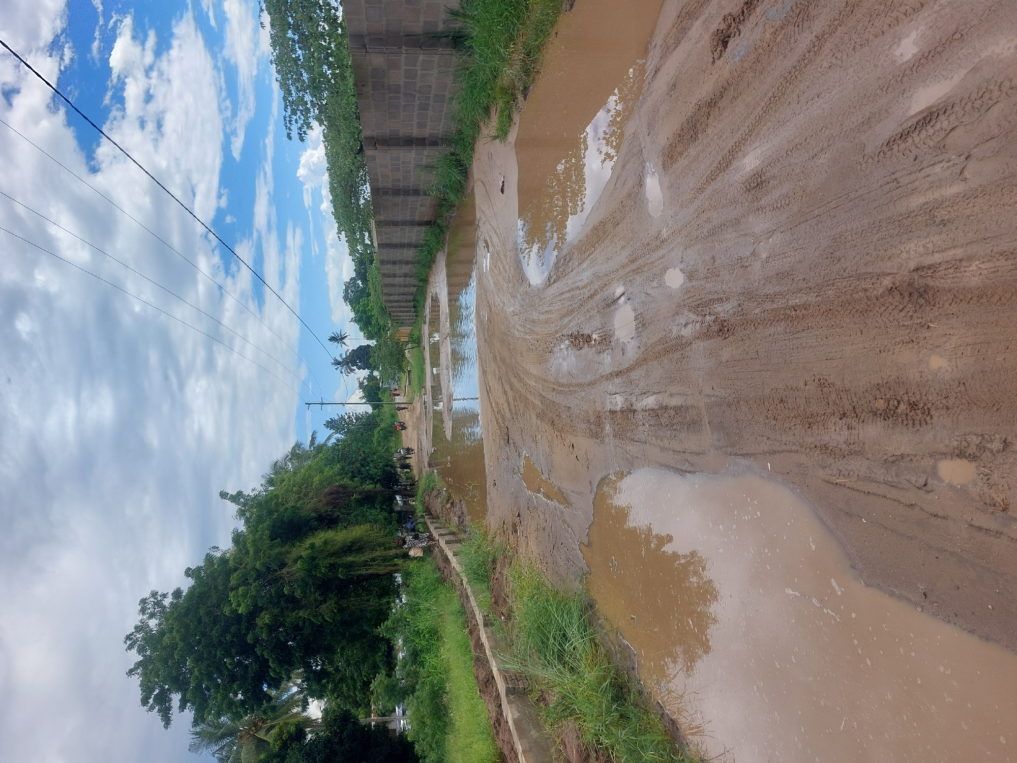 The image depicts a muddy road in Dar es-Salaam, Tanzania, heavily rutted with tire tracks and partially covered with standing water. A concrete block wall runs along one side of the road, interspersed with vegetation. Power lines are visible against a backdrop of cloudy sky. Vegetation including trees and green growth lines the opposite side of the road. Some people and motorcycles are also visible in the distance.