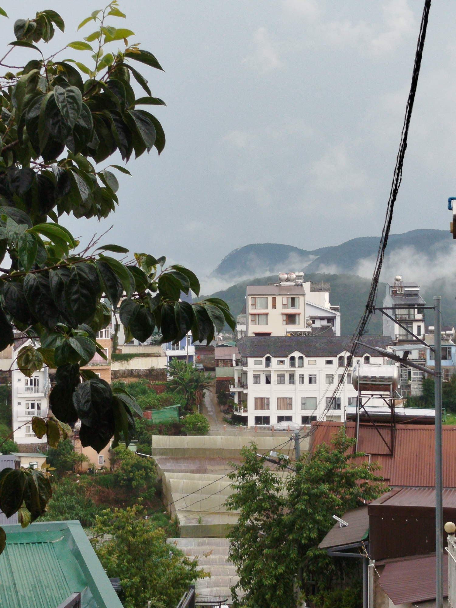 The image depicts a partially obscured cityscape in Da Lat, Vietnam, likely viewed from an elevated position. Dominating the foreground are the leaves of a tree, positioned on the left side. Behind the tree, there's a collection of buildings of varying heights and architectural styles, ranging from simple residential structures to multi-story buildings with water tanks on their roofs. In the background, hills are partially obscured by mist or low-hanging clouds. An electrical wire or cable is visible on the right side of the frame, running vertically from top to bottom.