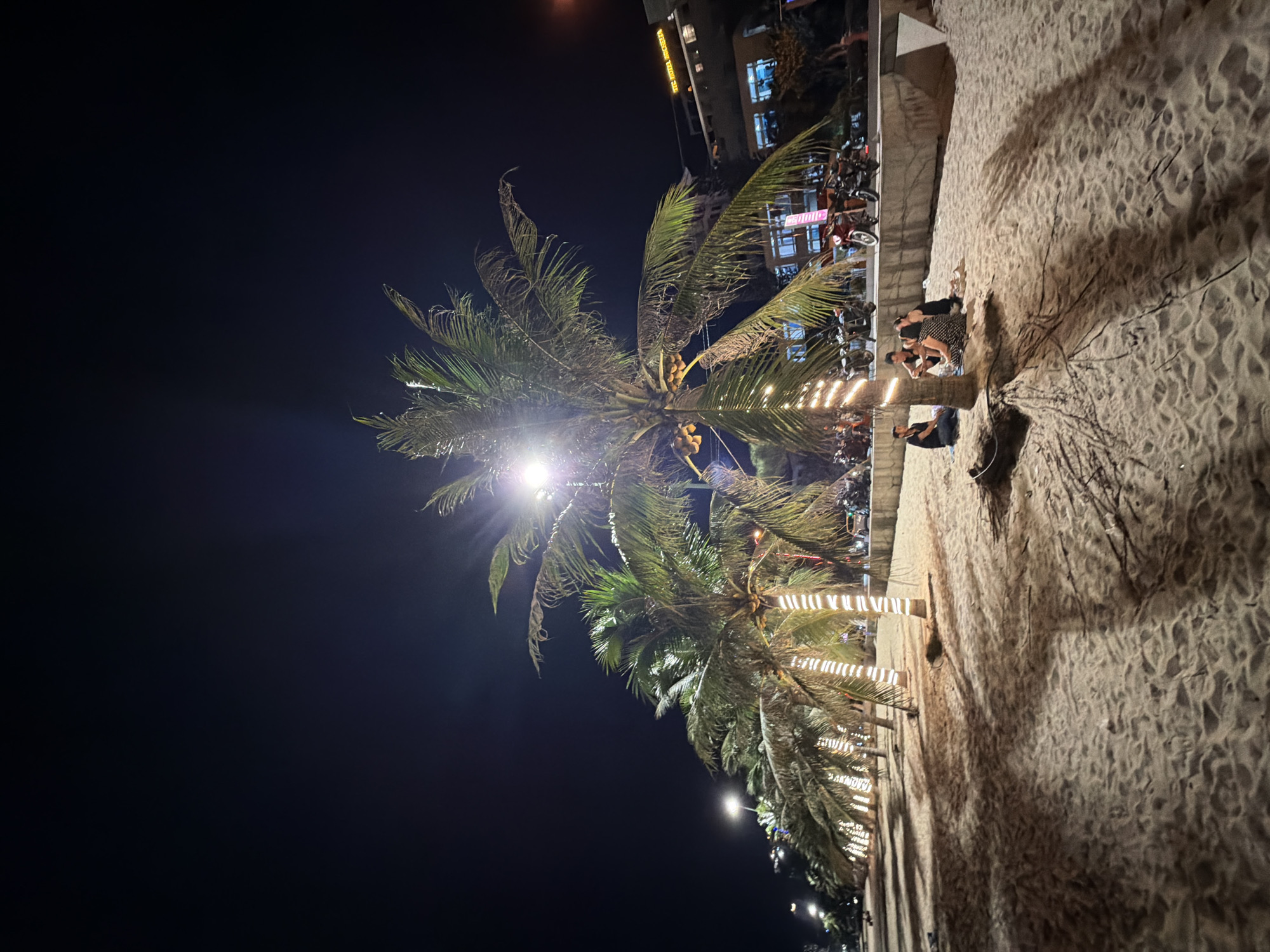 This is a nighttime photograph taken on a sandy beach in Nha Trang, Vietnam. The scene is dominated by a row of palm trees, many of which are adorned with strings of white lights, creating a festive atmosphere. The sand is illuminated by overhead lights and the lights from the palm trees, casting long shadows across the beach.
In the foreground, a group of four people, two men and two women, are seated on the sand beneath one of the illuminated palm trees. They appear to be casually interacting, with one person holding a phone. The beach also shows evidence of recent activity with footprints visible in the sand.
In the background, a concrete embankment runs along the edge of the beach, separating it from a road. A row of motorcycles is parked along this embankment, suggesting a popular gathering spot. Beyond the embankment, buildings are visible, including a hotel with illuminated signage, indicating an urban setting adjacent to the beach. The sky is dark, typical of nighttime. The overall impression is a lively and attractive beach area at night, likely a popular tourist destination.