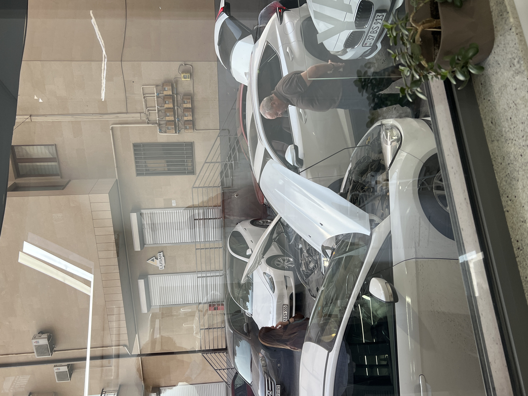 The photograph shows a street scene in Yerevan, Armenia, viewed through a window with significant reflections. On the right side of the image, a potted plant sits indoors near the window. In the foreground, several cars with open hoods are parked, suggesting a car repair or service facility. Two people are visible: one man leans into the engine compartment of a white car, and a woman is seen standing near another vehicle. The reflection in the window reveals the exterior of the building, featuring multiple shuttered windows and a sign that reads "LUSAR." Additional architectural details, such as the building's facade and electrical wiring, are visible in the reflection. The cars have visible license plates. One license plate is "37 BS 913", and another is "65 GY 555".