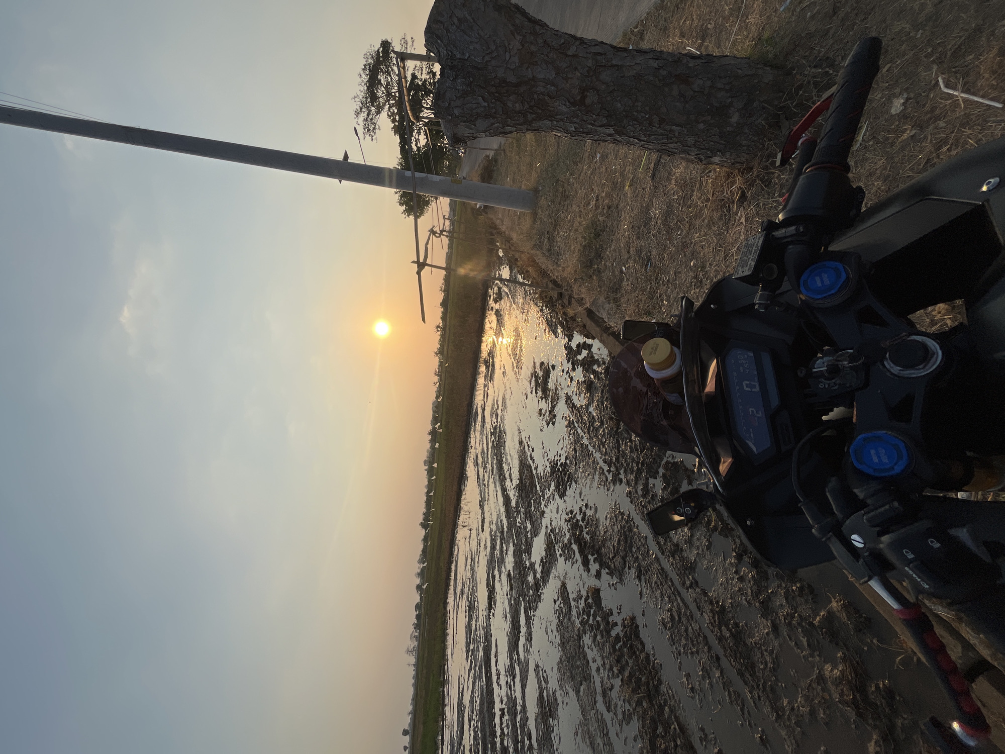 The image captures a sunset over a rural landscape, likely in Pecangaan, Indonesia. In the foreground, the handlebars and dashboard of a black motorcycle are visible, with a yellow bottle on the right side of the handlebars. The motorcycle is parked on a dirt path beside a muddy field. The field appears to be a rice paddy, with standing water and tire tracks from agricultural machinery. A tall utility pole stands on the right side of the path, with a large tree trunk near it. In the distance, the sun is setting on the horizon, casting a warm glow over the scene. The sky is a gradient of blue and orange.