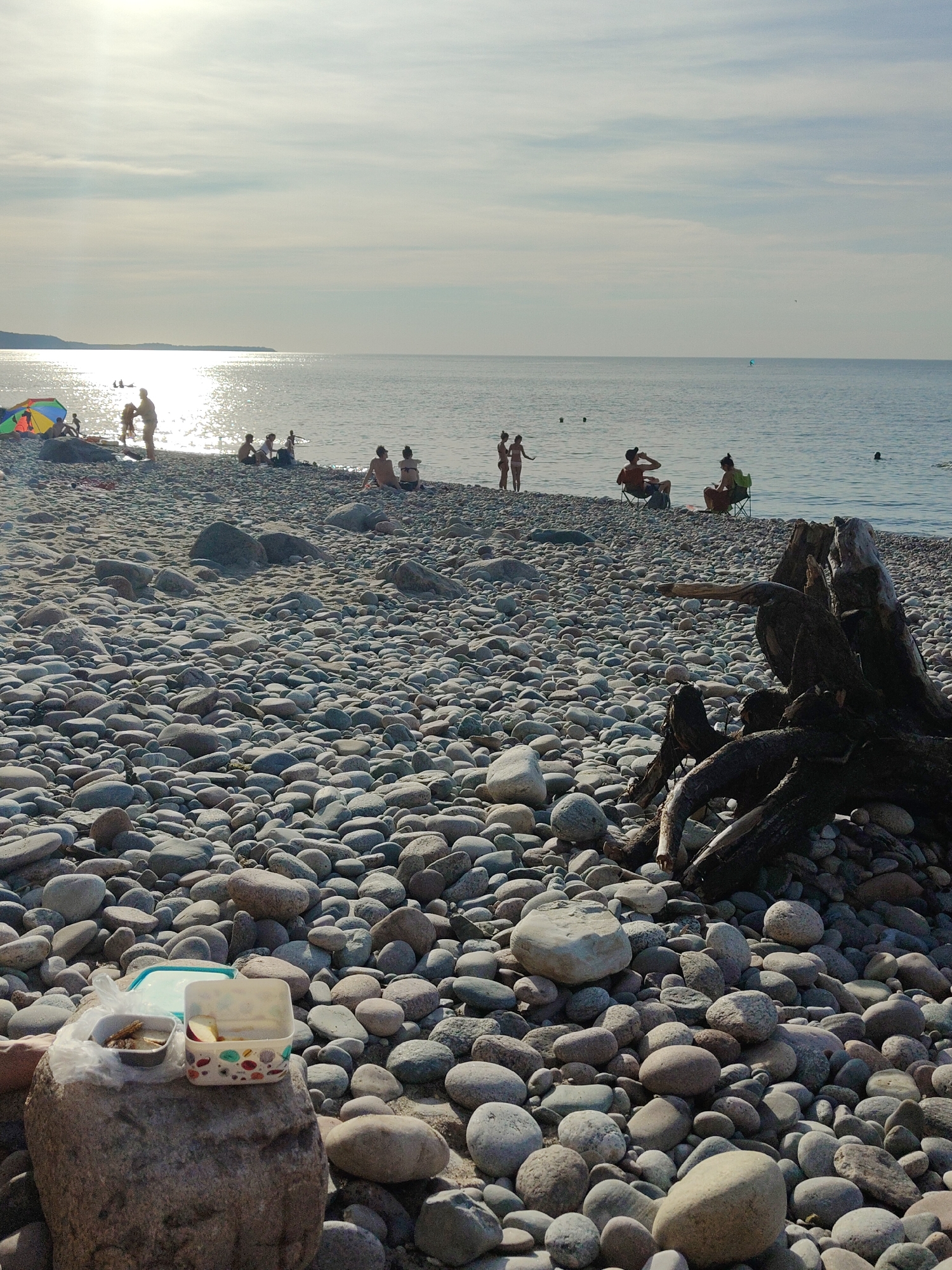 An outdoor, eye-level, medium shot captures a pebbled beach on a sunny day. In the foreground, a large rock supports two containers, one with food and the other containing sliced apples, suggesting a picnic. Scattered across the beach are numerous smooth, gray pebbles and a large piece of driftwood. In the middle ground, several people are visible on the beach and in the shallow water. Some are sitting on chairs or the sand, while others are standing or wading. A colorful umbrella provides shade for a group near the water's edge. In the background, the calm sea meets the horizon under a hazy sky with bright sunlight reflecting on the water. The scene appears to be located in Pionersky, Russia, a resort town on the Baltic Sea.