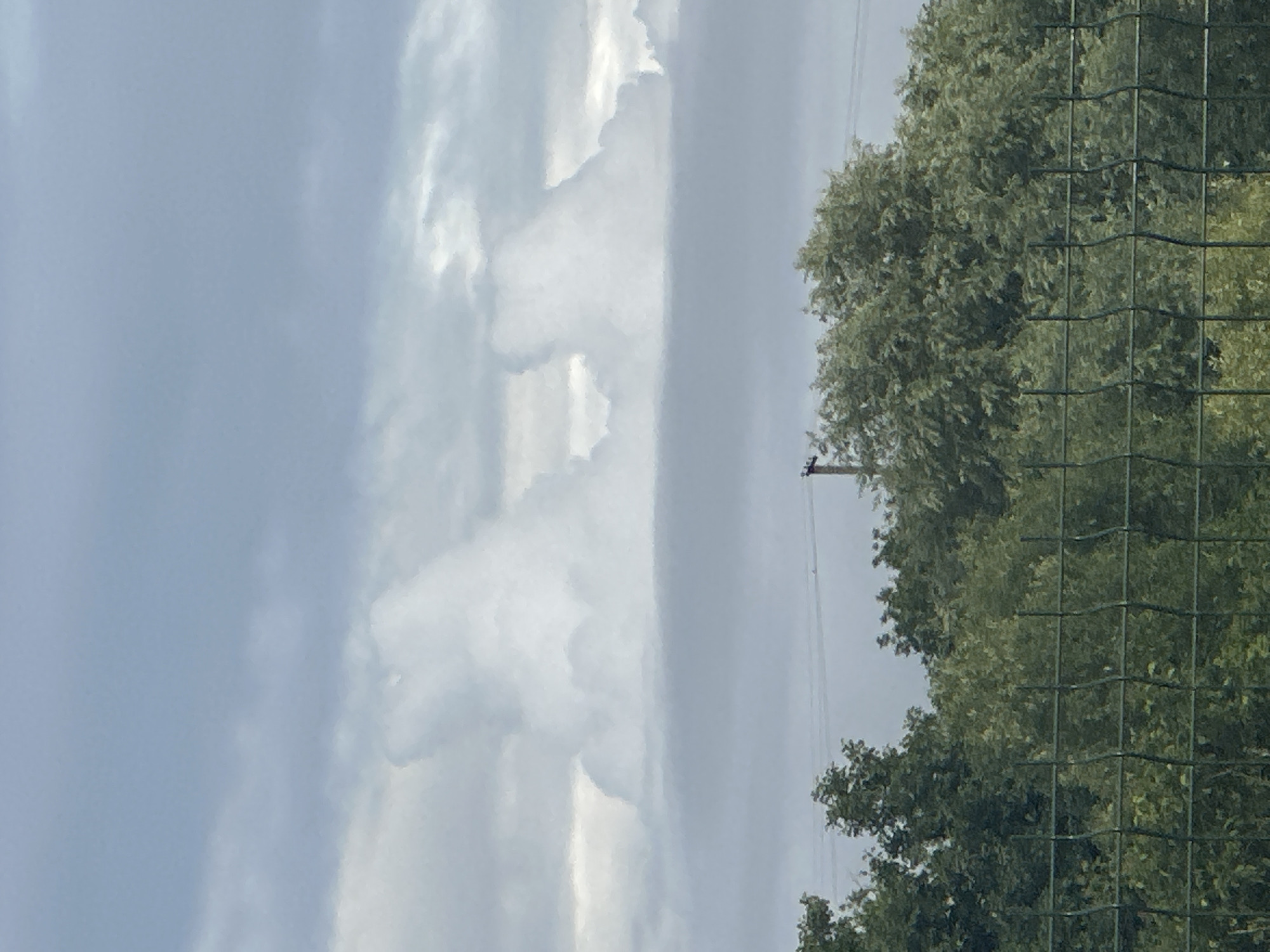 The media file shows a partially obscured view of trees and sky, with a wire fence in the foreground. The sky is cloudy, with streaks of light suggesting either sunrise or sunset, or an overcast day with breaks in the clouds. The trees are lush and green, indicating a warm season, likely spring or summer. A utility pole with wires is visible in the background, partially obscured by the trees and fence. The scene appears to be outdoors, possibly in a rural or suburban area. There is no clear activity or event taking place, and no people or text are visible. The overall mood is serene, with a focus on natural elements. The image is oriented vertically.