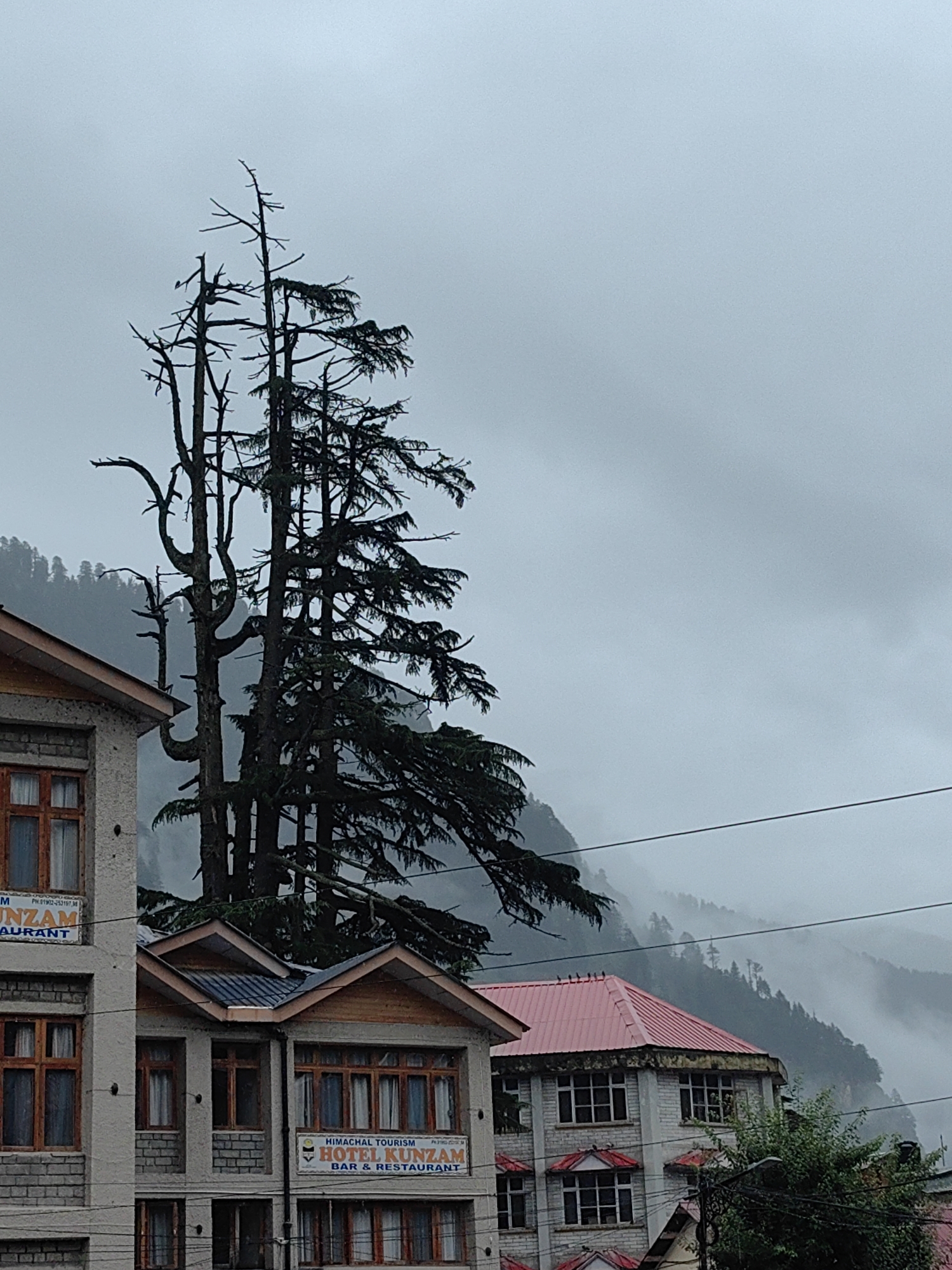 The image depicts a cloudy day in Manali, India, with a focus on a cluster of buildings nestled against a backdrop of misty mountains. Tall, bare-branched trees stand prominently in the foreground, their dark silhouettes stark against the overcast sky.
The buildings appear to be hotels or guesthouses, characterized by their multi-story structures, wooden-framed windows, and pitched roofs. Signs on the buildings indicate establishments such as "HOTEL KUNZAM" and "BAR & RESTAURANT." The architecture suggests a blend of traditional and functional design, typical of mountain resorts.
The mountainous landscape behind the buildings is partially obscured by a dense fog or mist, lending a dramatic and atmospheric quality to the scene. The slopes are covered with vegetation, likely pine trees, common in the region. Power lines crisscross the upper portion of the image, indicating the presence of infrastructure in this natural setting.
The overall impression is one of a tranquil, albeit somber, day in a hilly region, where human habitation is interspersed with the grandeur of nature. No people are visible in the image.