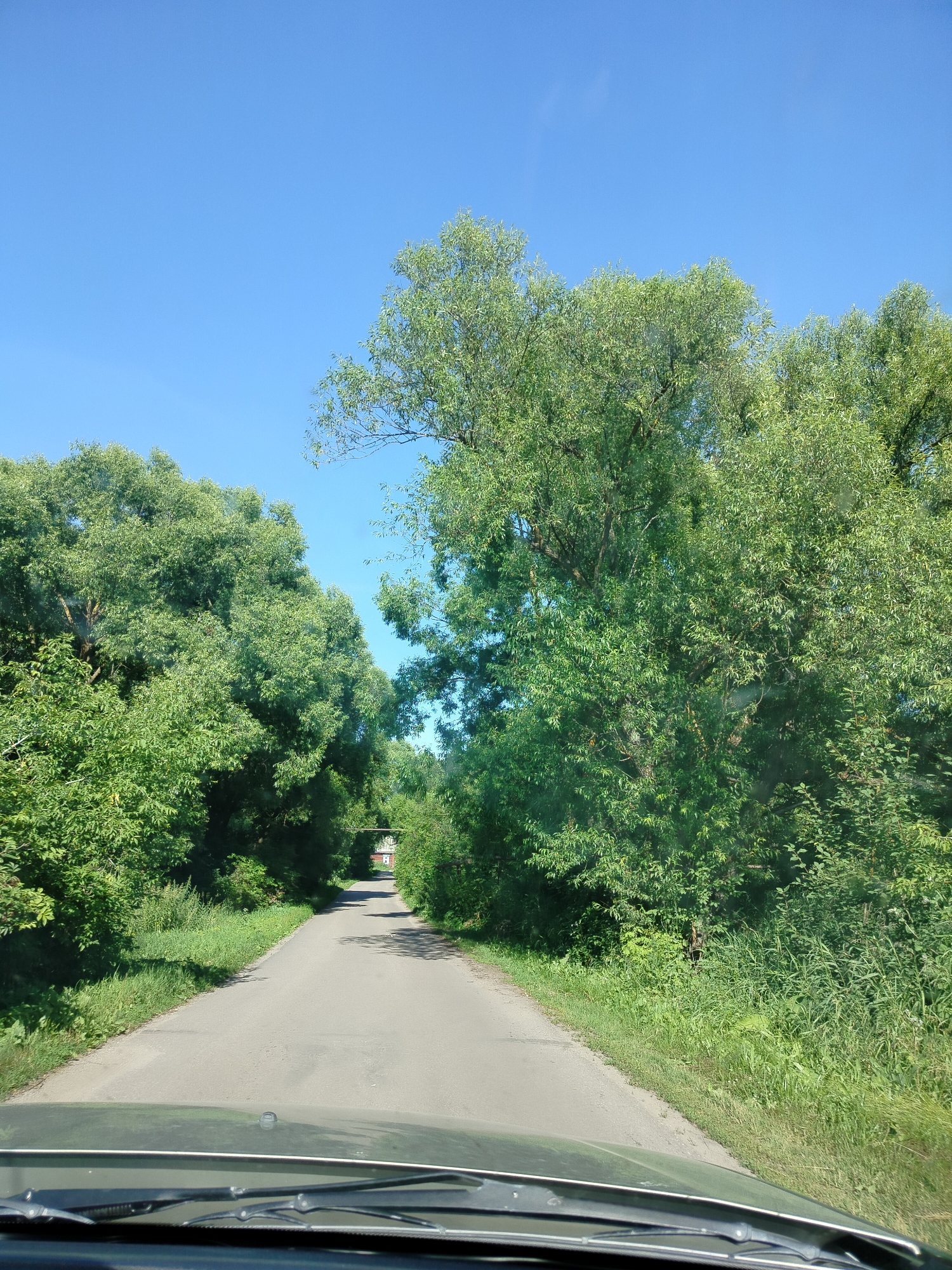 The image depicts a paved road winding through a dense forest of lush green trees under a clear blue sky. The perspective is from inside a vehicle, showing the car's windshield and wipers in the foreground. The road is bordered on both sides by thick vegetation, with tall grasses and foliage. Sunlight filters through the leaves, creating dappled shadows on the road. In the distance, a small, white building with a red roof is partially visible, suggesting a rural or semi-rural setting. A narrow bridge or overpass with some red structures is also visible further down the road. The overall impression is one of a serene, sunlit drive through a natural landscape. The weather appears to be fair and warm, typical of a summer day. The time of day is likely midday or early afternoon, given the bright, direct sunlight. The location is identified as Блохино, Russia. There is no discernible text in the image.