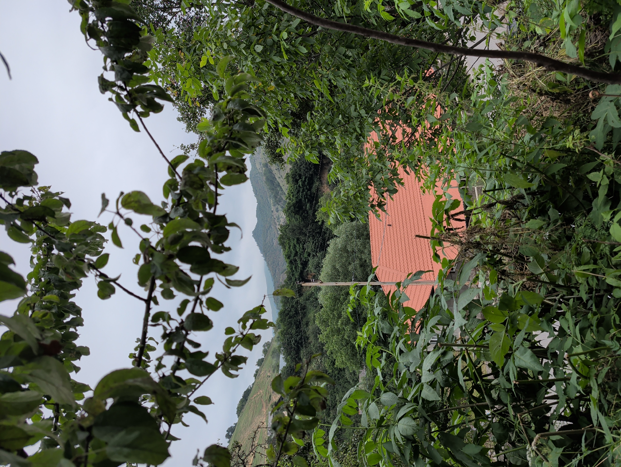The image depicts a view through lush green foliage towards a village nestled in a valley in Toğanalı, Azerbaijan. In the foreground, dense green leaves and branches partially obscure the scene. Below the foliage, the terracotta tiled roof of a house is visible, along with a portion of a white building. Beyond the house, the landscape unfolds with rolling hills covered in various shades of green trees. A utility pole with wires is situated to the right of the house. In the distance, a mountain range with a hazy, overcast sky completes the backdrop. The overall impression is one of a rural, natural setting.