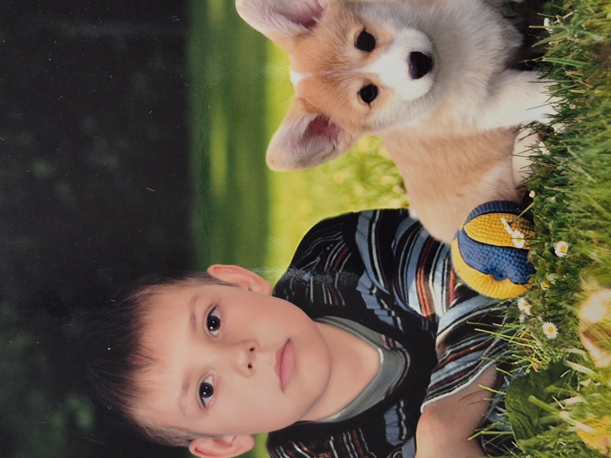 A young boy and a corgi puppy are lying in a grassy area. The boy, with short, dark hair, is looking directly at the camera with a neutral expression. He is wearing a striped shirt. To his right, the puppy, with tan and white fur, is also looking towards the camera. A colorful ball lies between the boy and the puppy. The background is dark and out of focus, suggesting a natural outdoor setting. The image quality is fair, with some signs of aging or dust.
There is no information in the image to suggest a location in the city of Schwäbisch Gmünd, Germany.