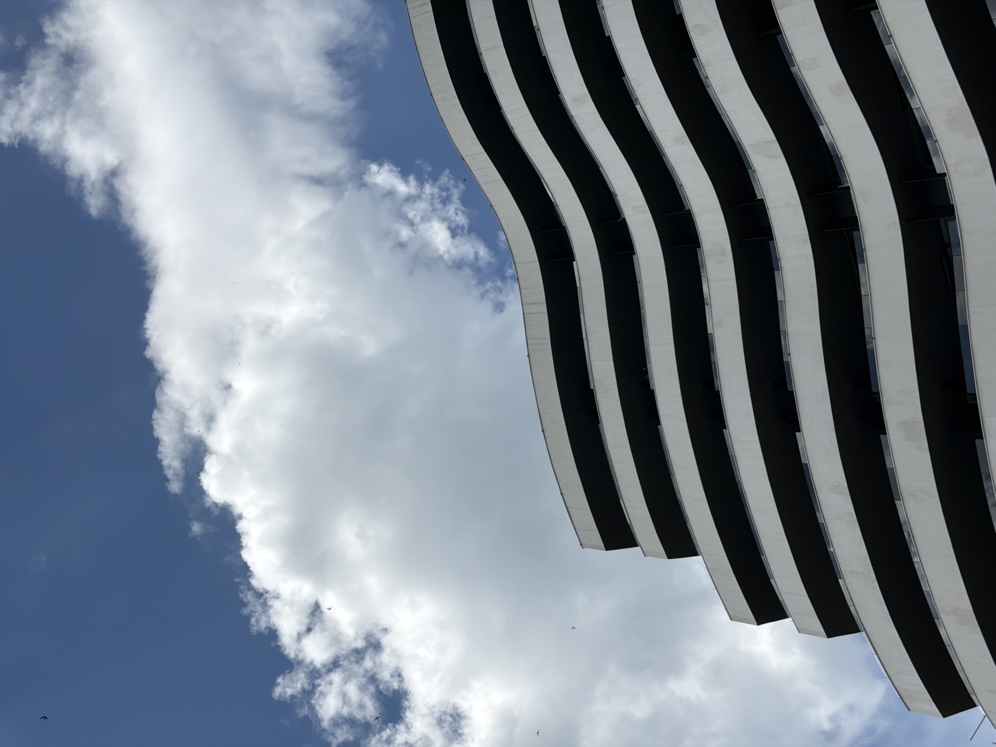The image shows a building with undulating, horizontal black and white stripes against a bright blue sky with white clouds. The building appears to be modern architecture, with the stripes likely representing balconies or architectural features. The sky is visible on the left side of the frame. Several birds are scattered in the sky. Based on the architecture and location, the image likely features a building in Rafailovići, Montenegro. However, without identifying the exact building, the description can't be location-specific.